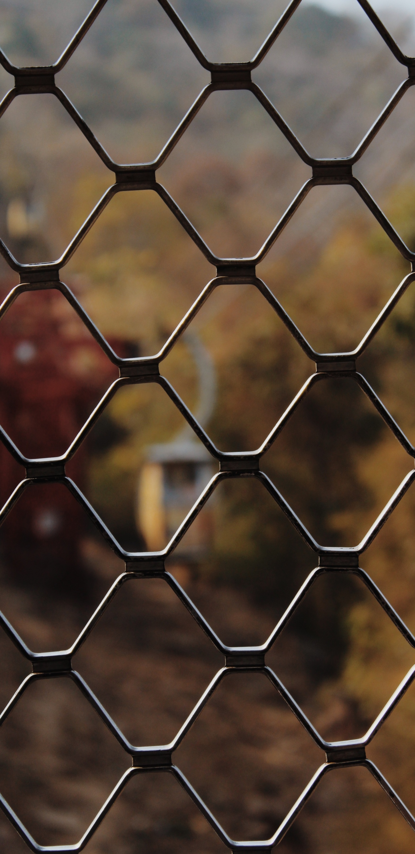 栅栏, 丝围栏, 对称, 瓷砖, 光 壁纸 1440x2960 允许