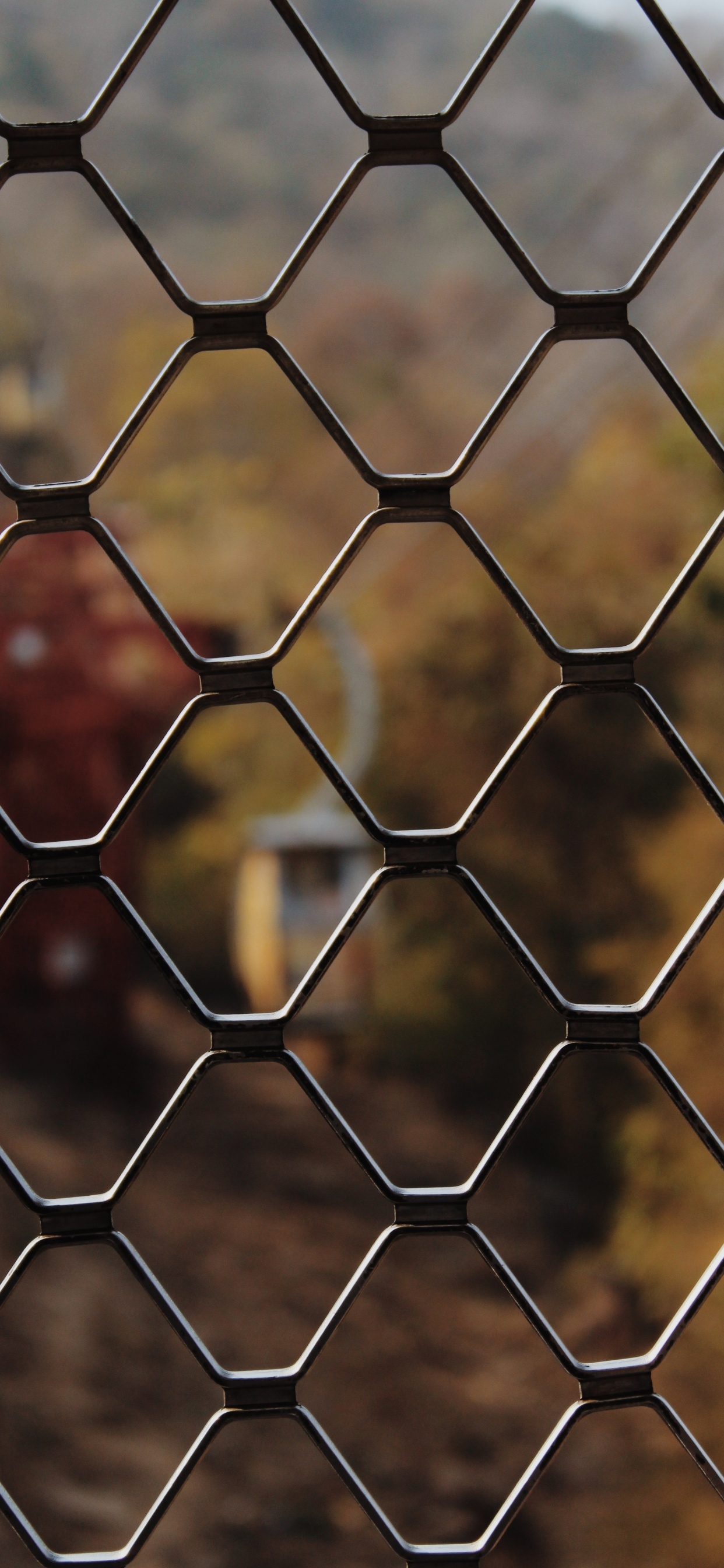 Clôture en Métal Marron et Noir. Wallpaper in 1242x2688 Resolution