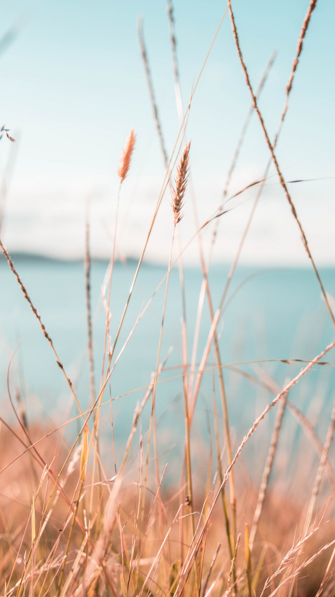 Eau, Nature, Paysage Naturel, Blue, Environnement Naturel. Wallpaper in 1080x1920 Resolution