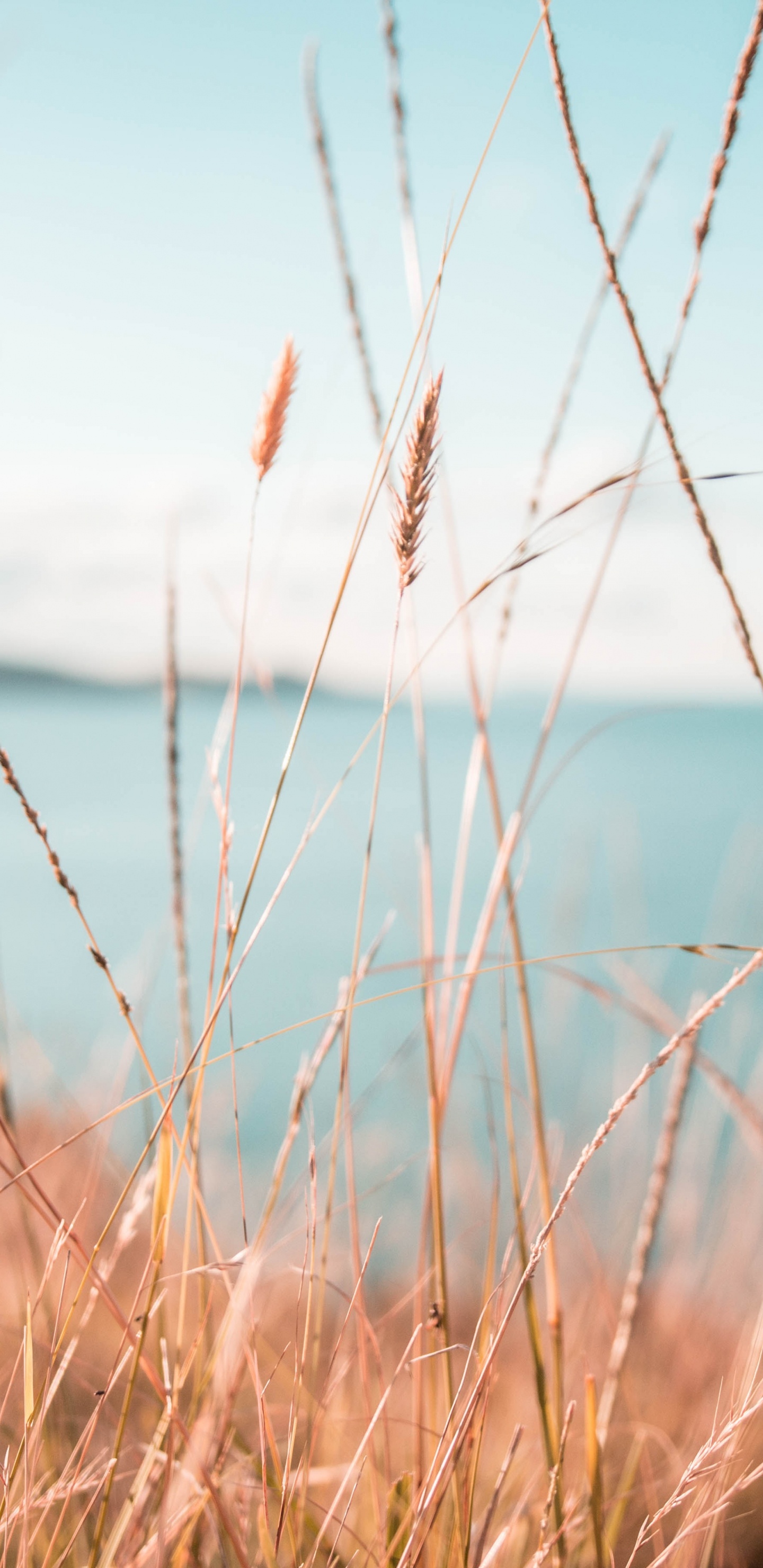 Eau, Nature, Paysage Naturel, Blue, Environnement Naturel. Wallpaper in 1440x2960 Resolution