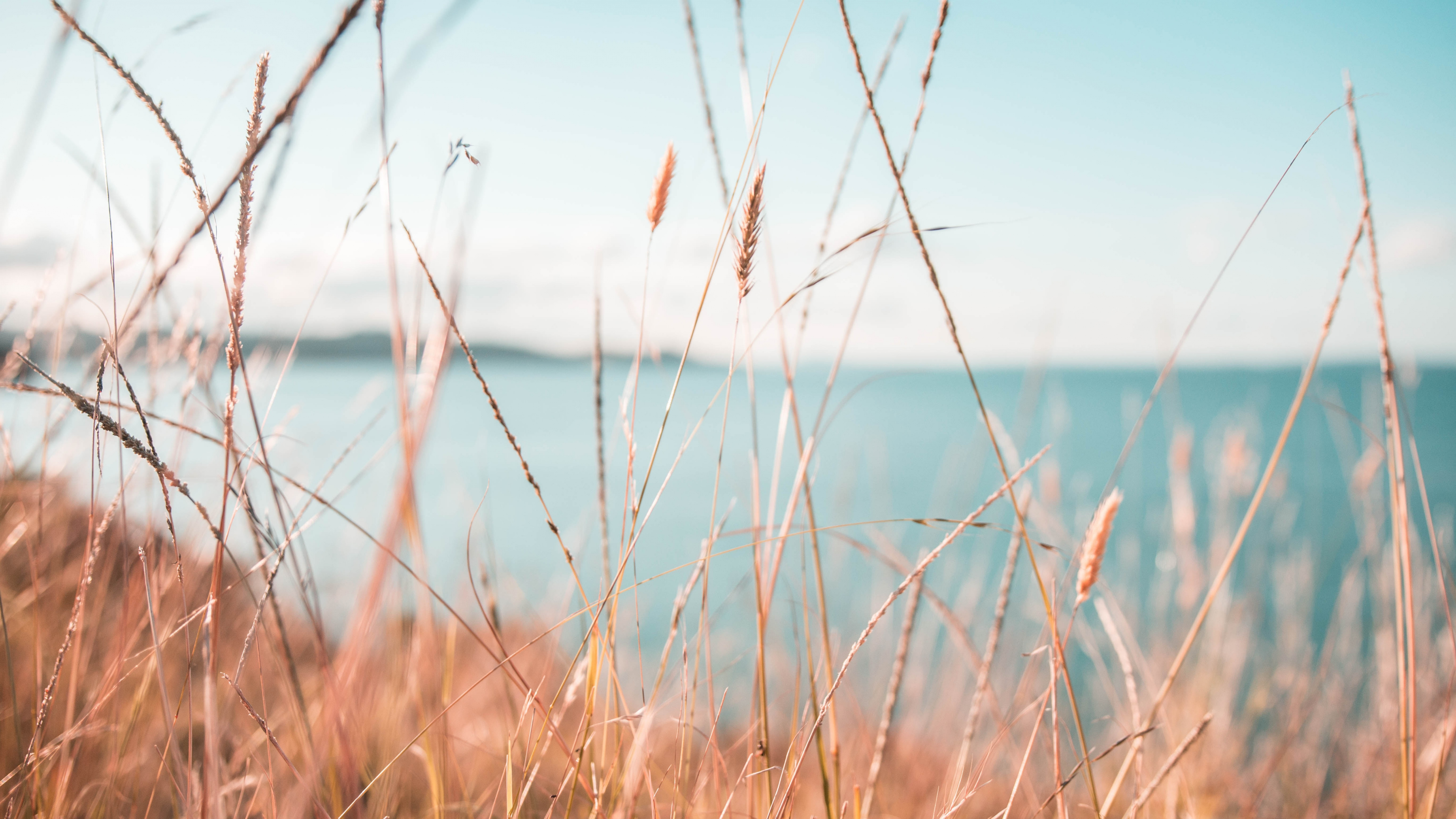 Wasser, Natur, Naturlandschaft, Gras, Blau. Wallpaper in 3840x2160 Resolution