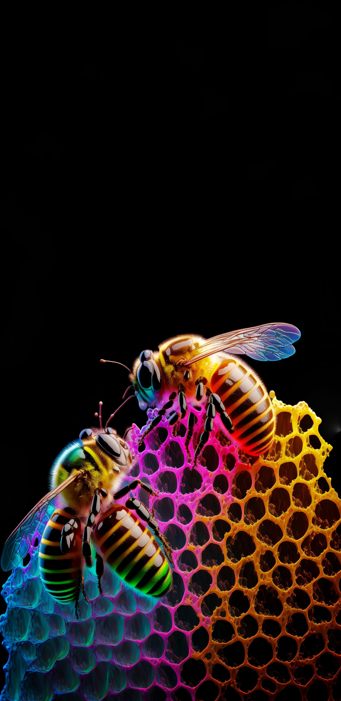 Arthropoden, Insekten, Bienen, Bestäuber, Insekt. Wallpaper in 1440x2960 Resolution