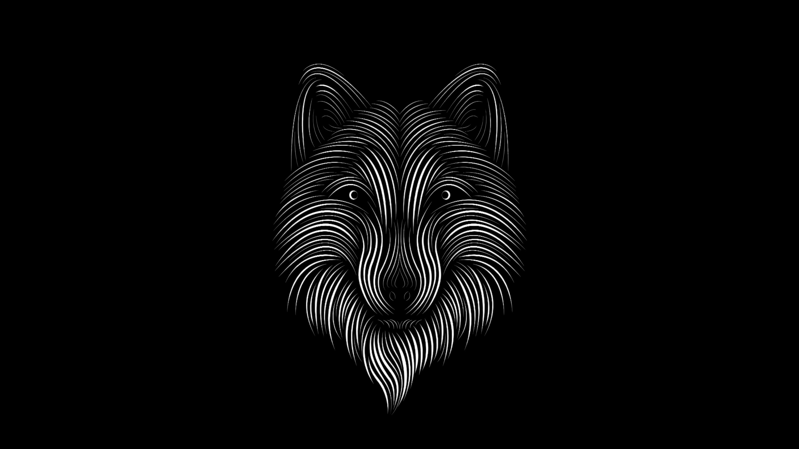 Illustration de Zèbre Noir et Blanc. Wallpaper in 2560x1440 Resolution