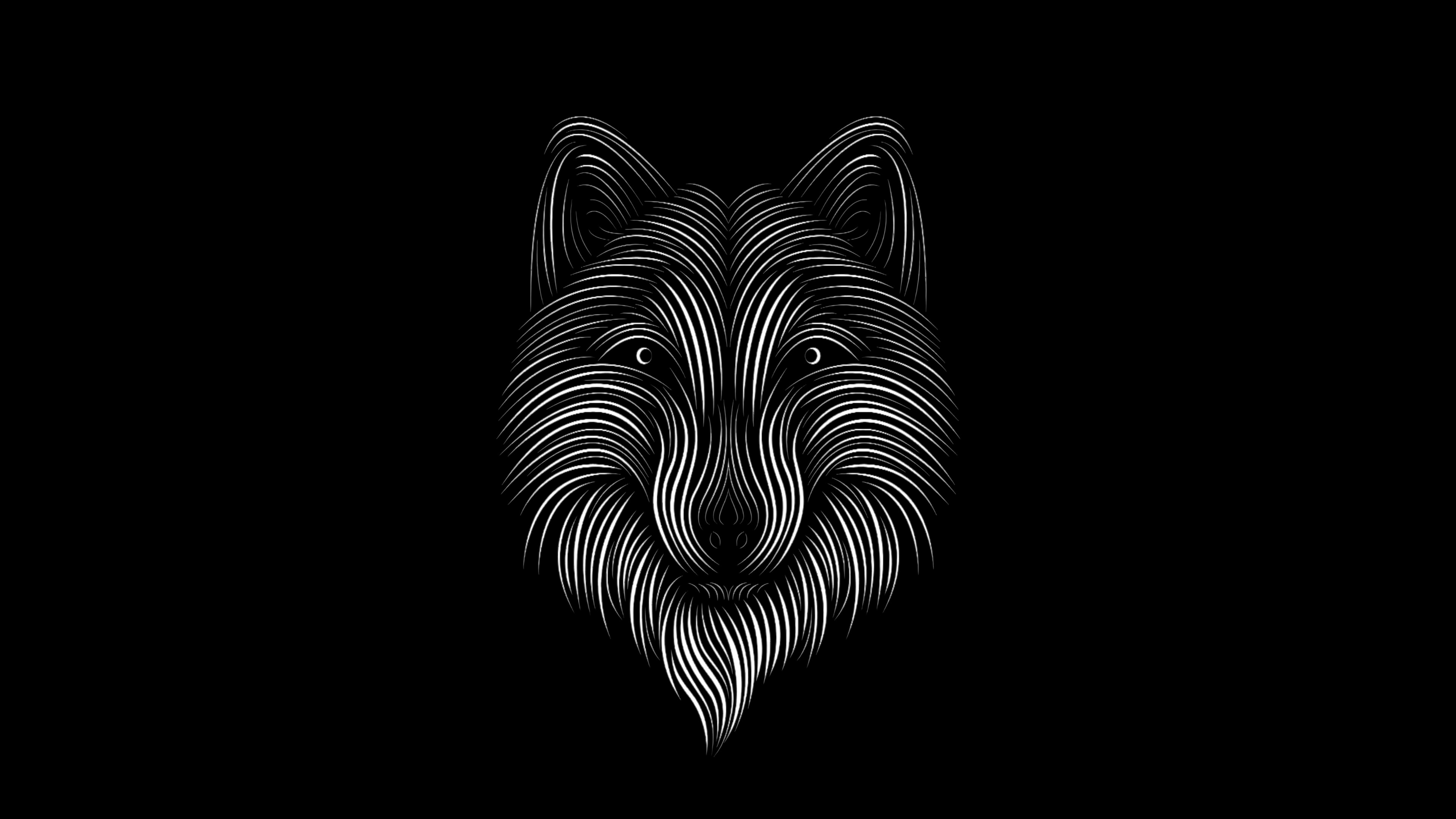 Schwarz-Weiß-Zebra-Illustration. Wallpaper in 3840x2160 Resolution