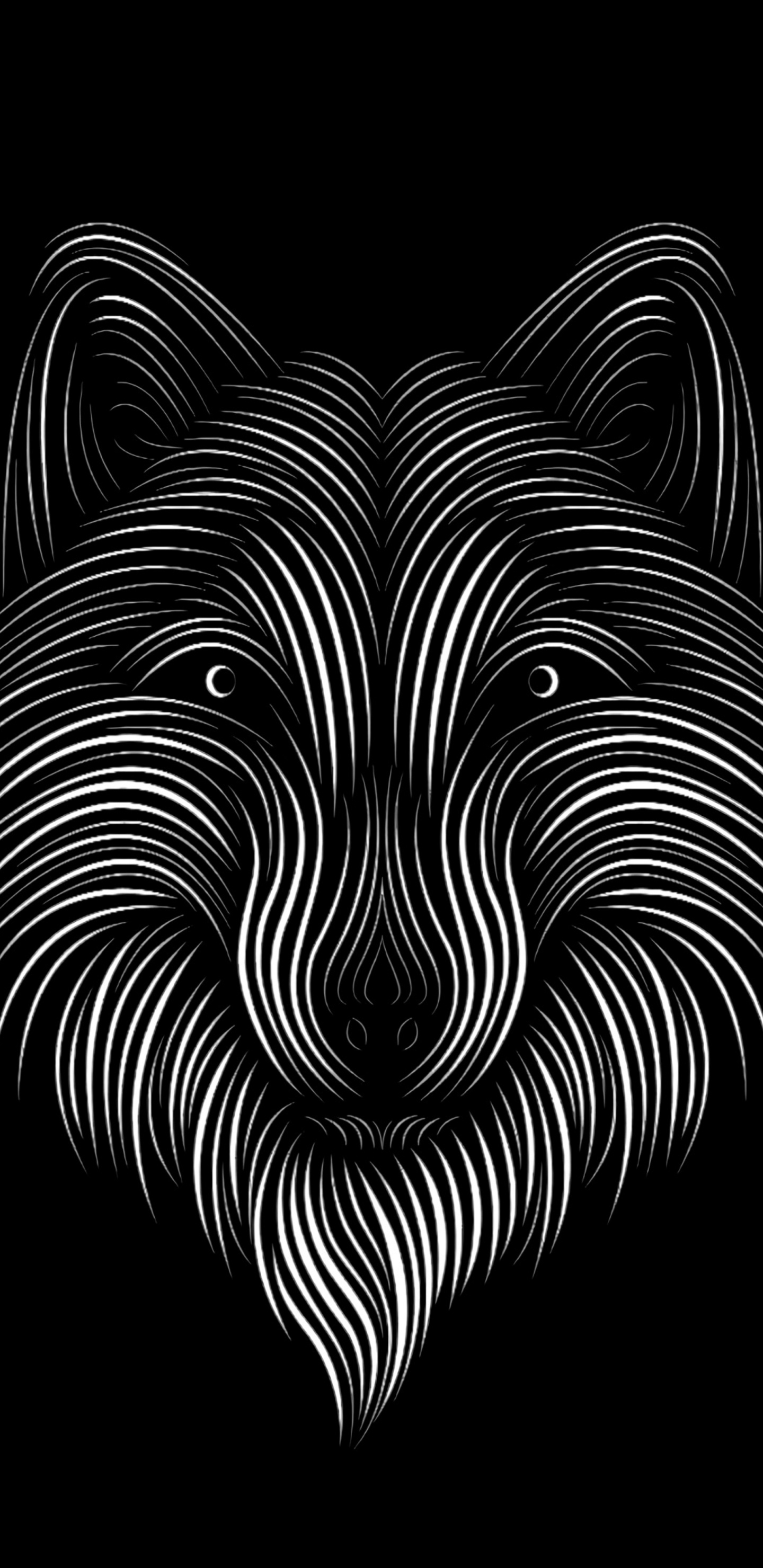 Black and White Zebra Illustration. Wallpaper in 1440x2960 Resolution