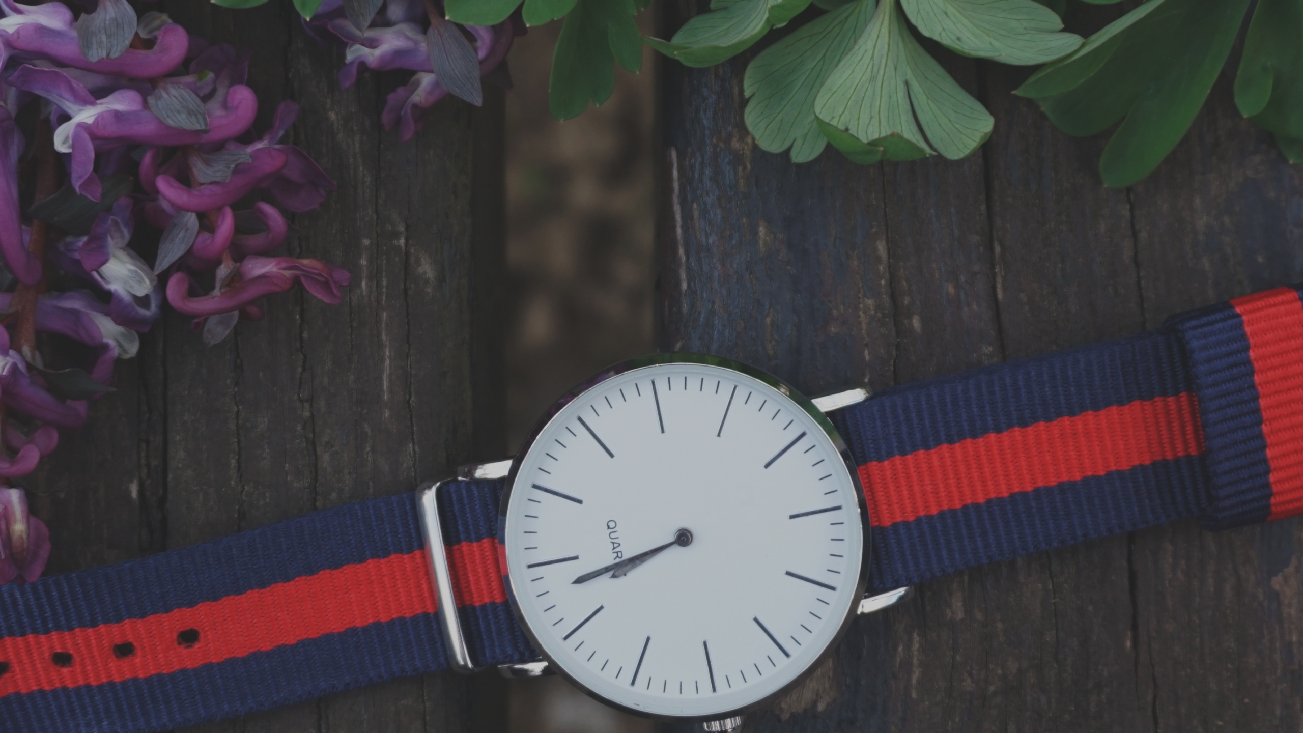 Silberne Runde Analoguhr Mit Rotem Armband. Wallpaper in 2560x1440 Resolution