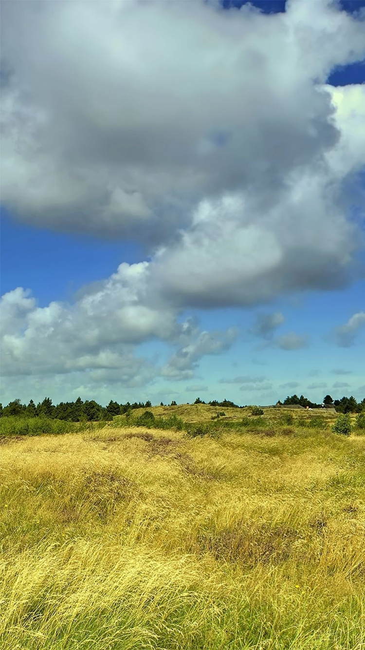 Green Grass Field Under Blue Sky and White Clouds During Daytime. Wallpaper in 750x1334 Resolution