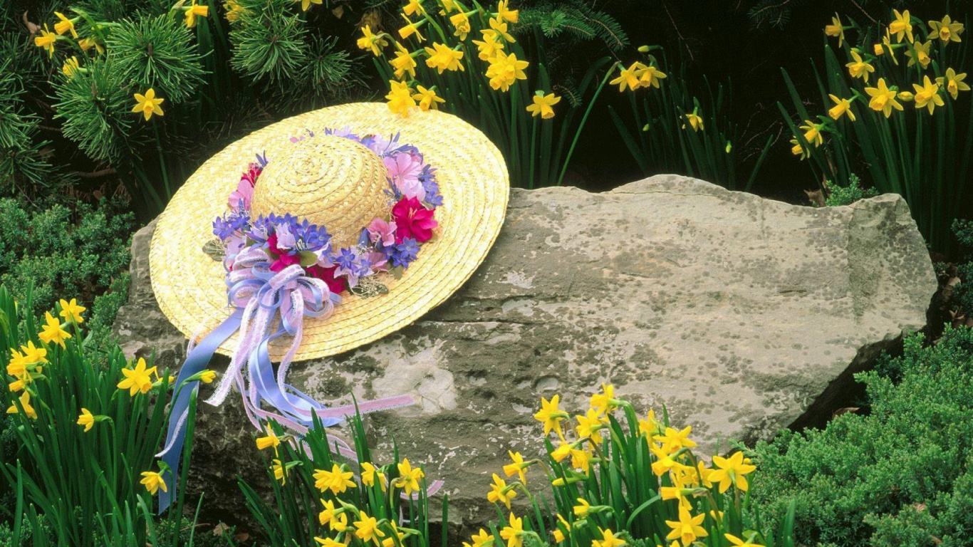 White and Purple Floral Hand Fan on Gray Rock. Wallpaper in 1366x768 Resolution