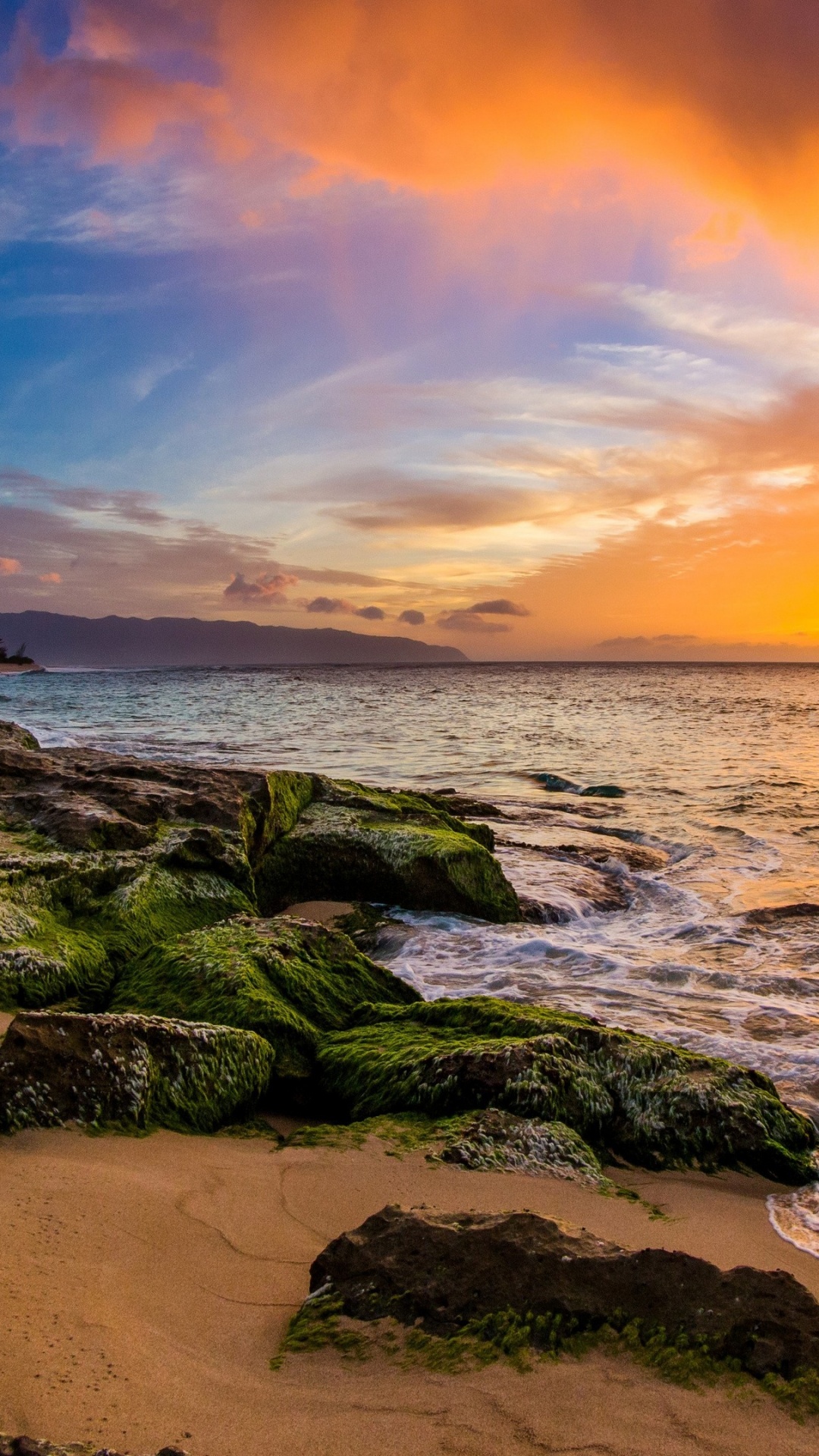 Beach, Sharks Cove, Ppkea Beach Park, Coast, Sea. Wallpaper in 1080x1920 Resolution