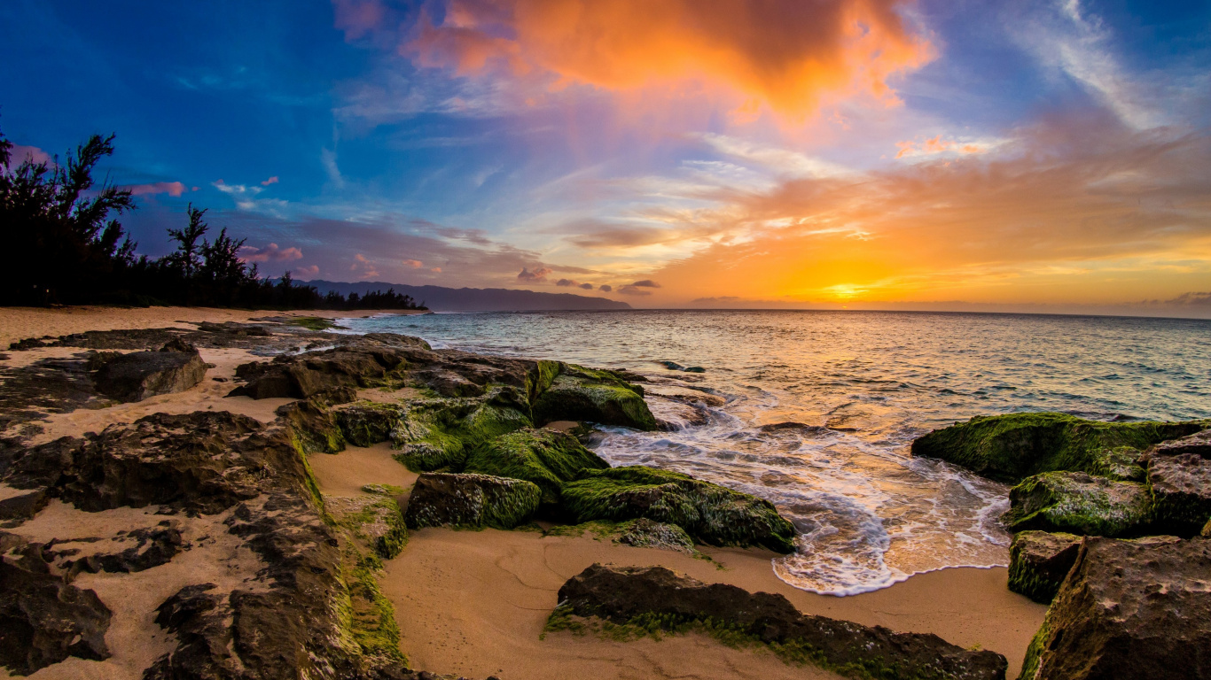 Beach, Sharks Cove, Ppkea Beach Park, Coast, Sea. Wallpaper in 1366x768 Resolution