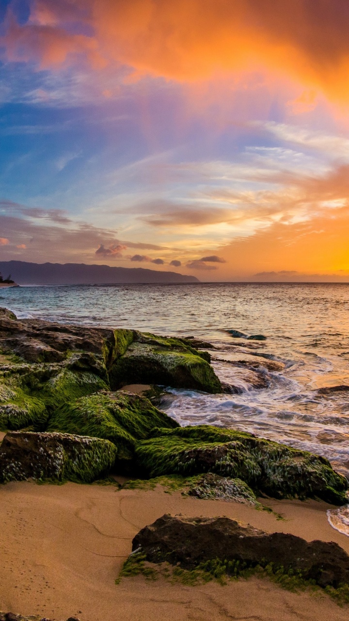 Beach, Sharks Cove, Ppkea Beach Park, Coast, Sea. Wallpaper in 720x1280 Resolution