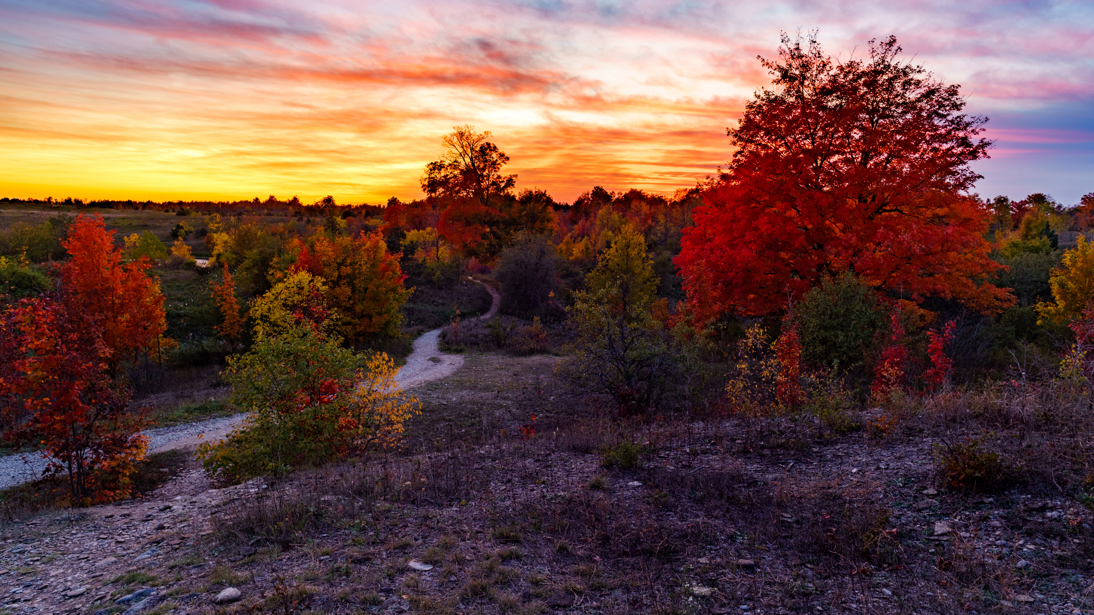 Arbres Verts et Plantes Sous Ciel Orange et Bleu. Wallpaper in 3840x2160 Resolution