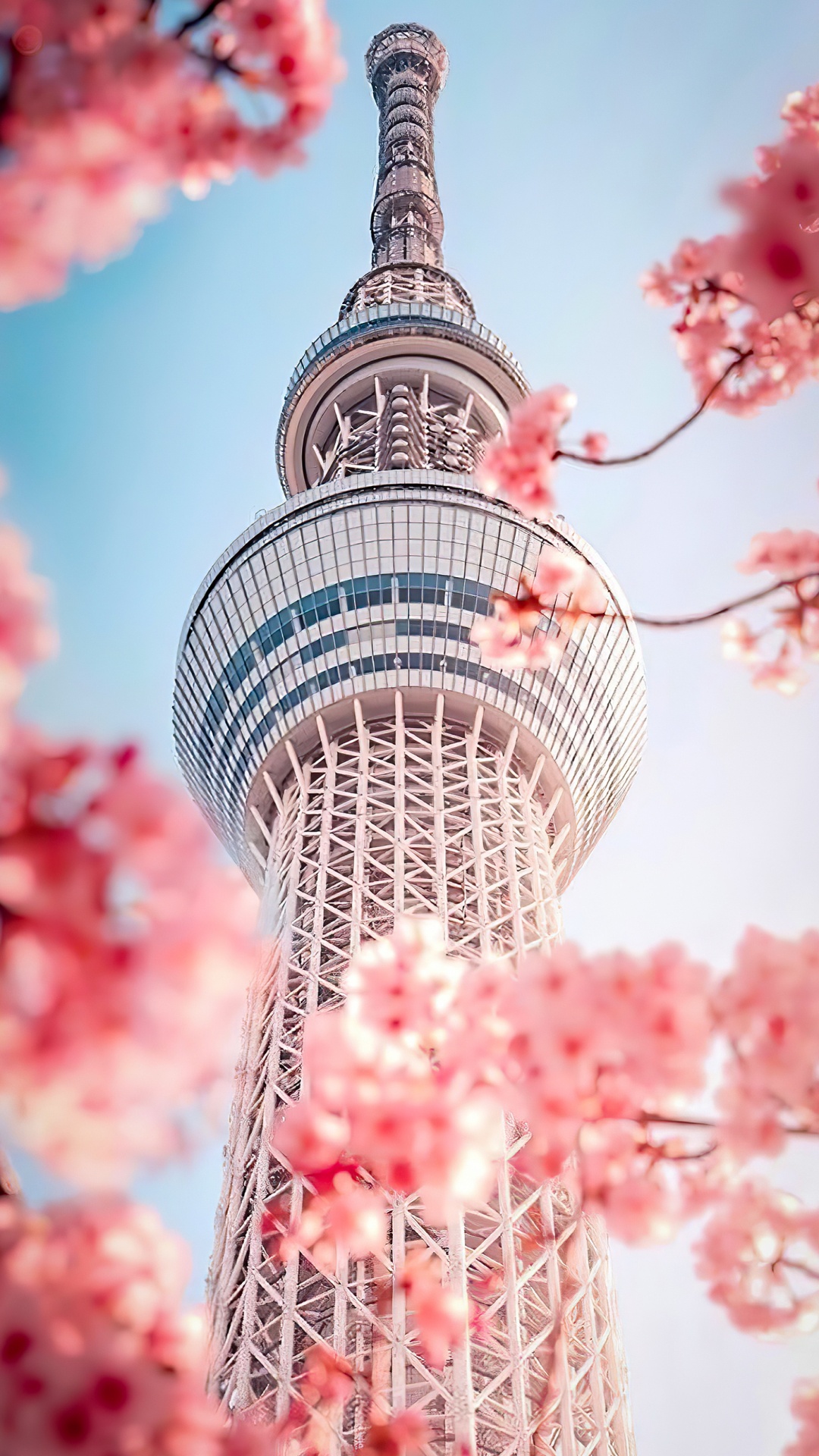 首尔, 韩国, 白色, 光, 性质 壁纸 1080x1920 允许