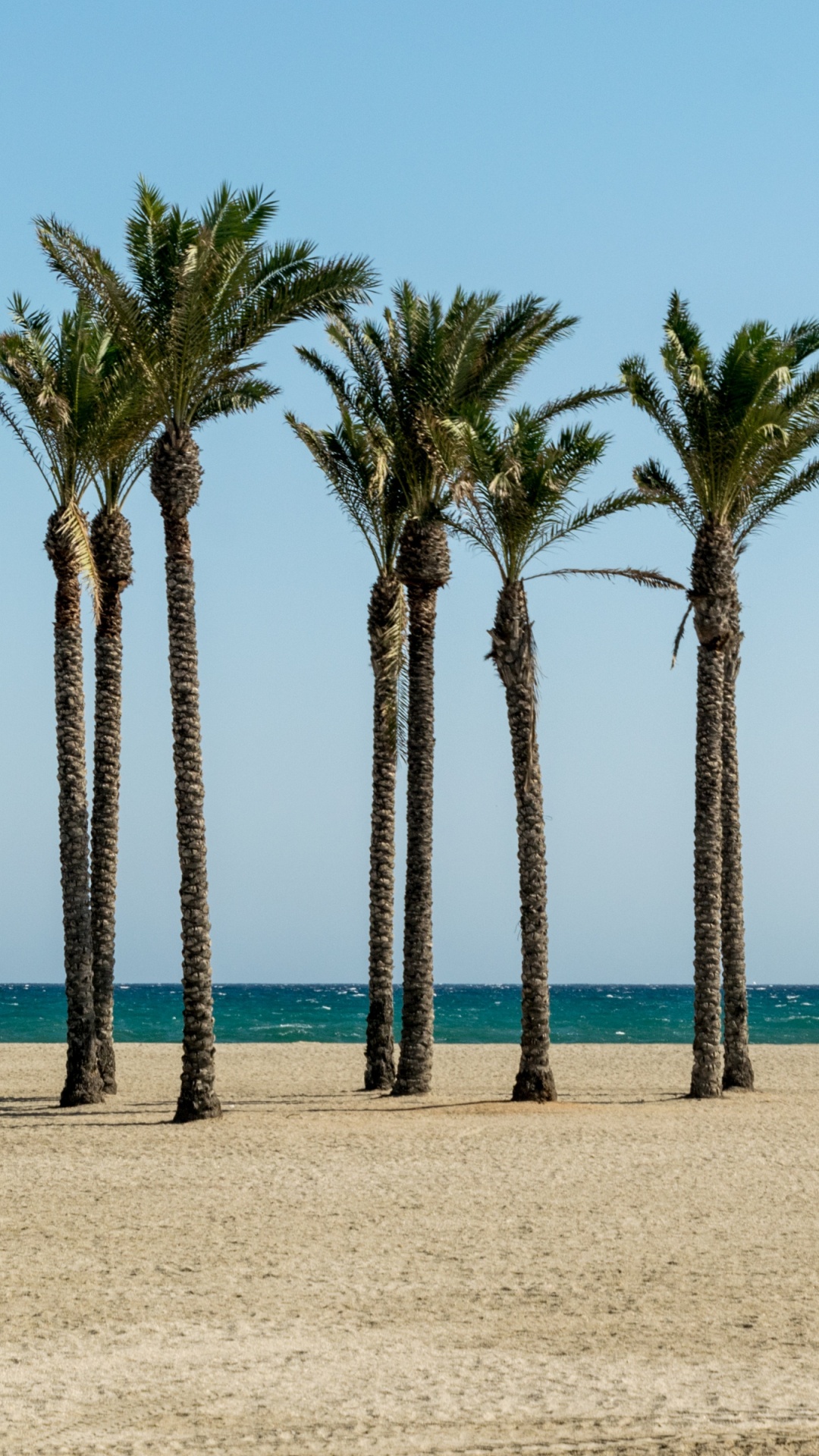 Palmeras en la Playa Durante el Día. Wallpaper in 1080x1920 Resolution