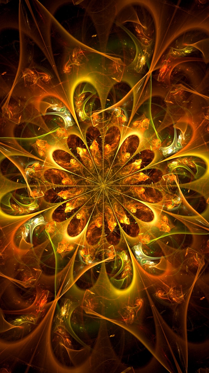 Illustration de Fleur Jaune et Rouge. Wallpaper in 720x1280 Resolution