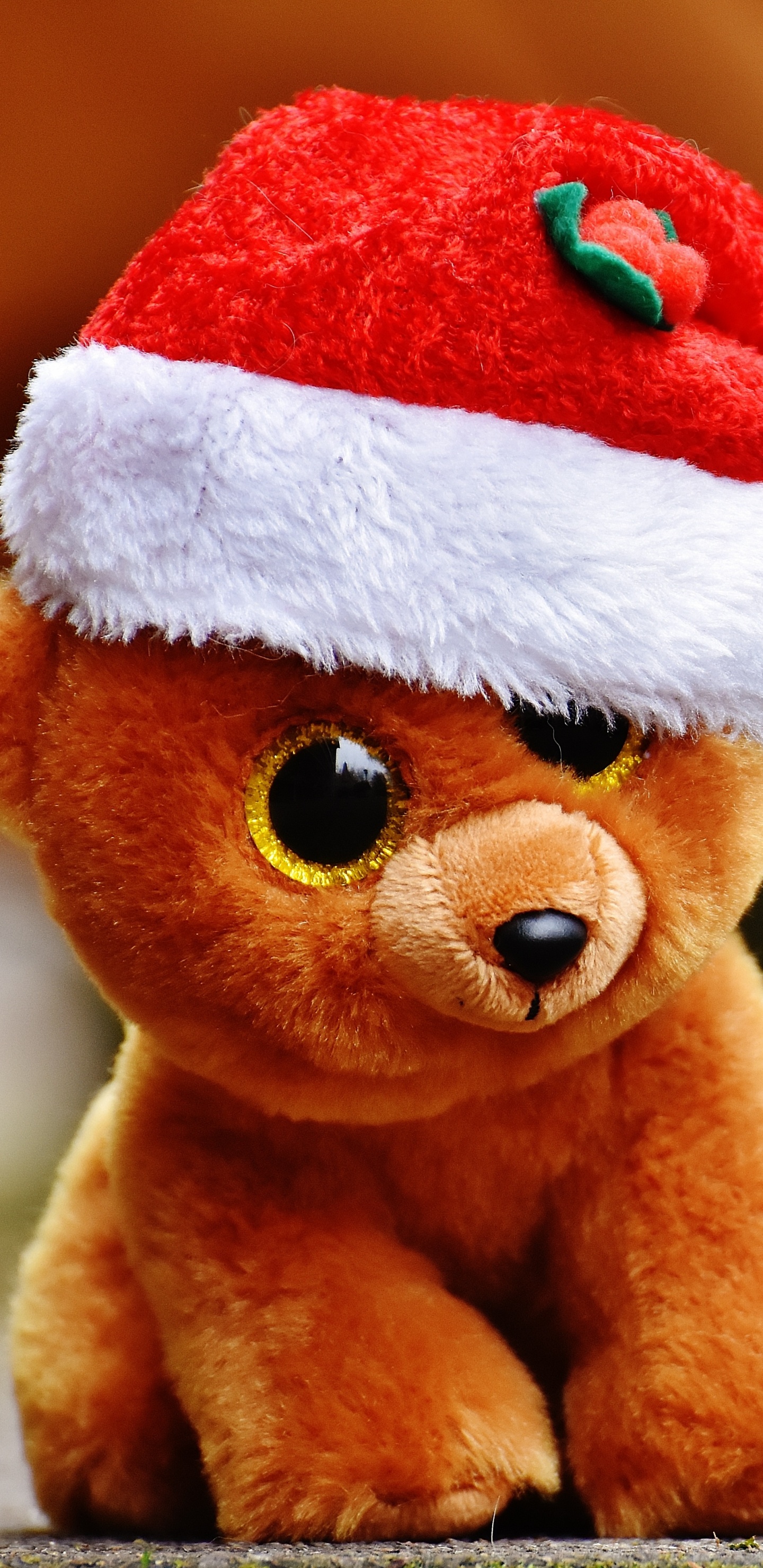 Nounours, Jouet en Peluche, Ours en Peluche de Noël, Peluche, Textile. Wallpaper in 1440x2960 Resolution