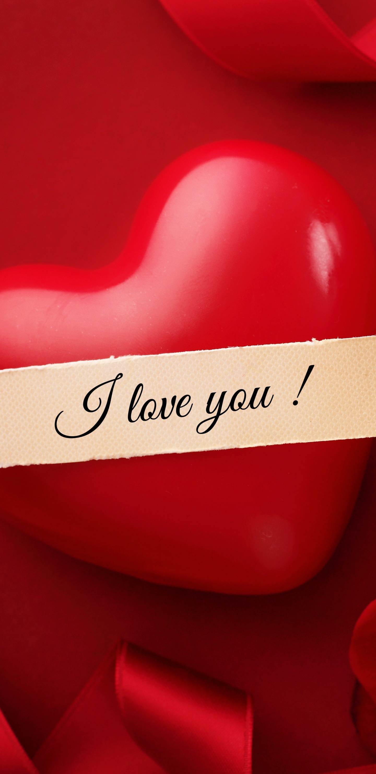 Valentines Day, Heart, Flower, Rose, Red. Wallpaper in 1440x2960 Resolution