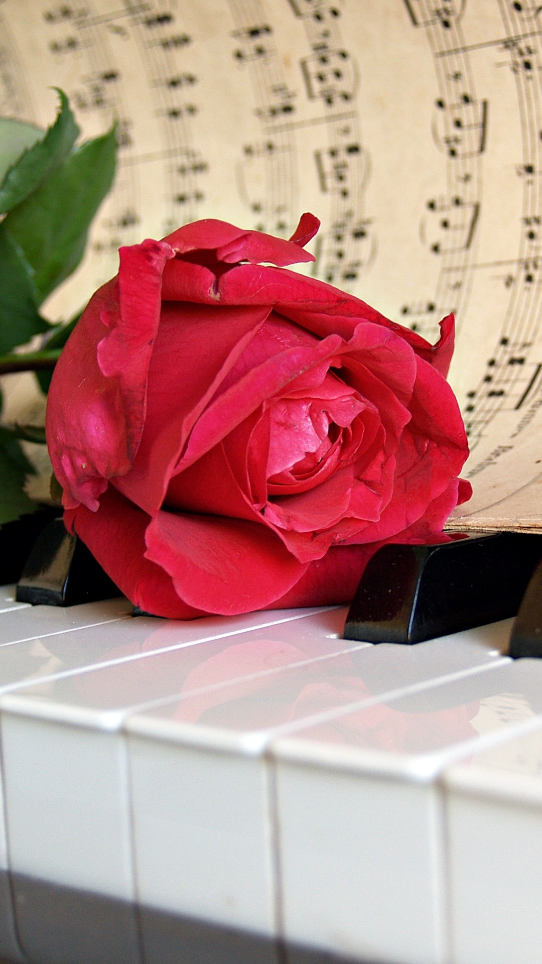 Piano, Feuille de Musique, Clé, Pianiste, Clavier Musical. Wallpaper in 1080x1920 Resolution