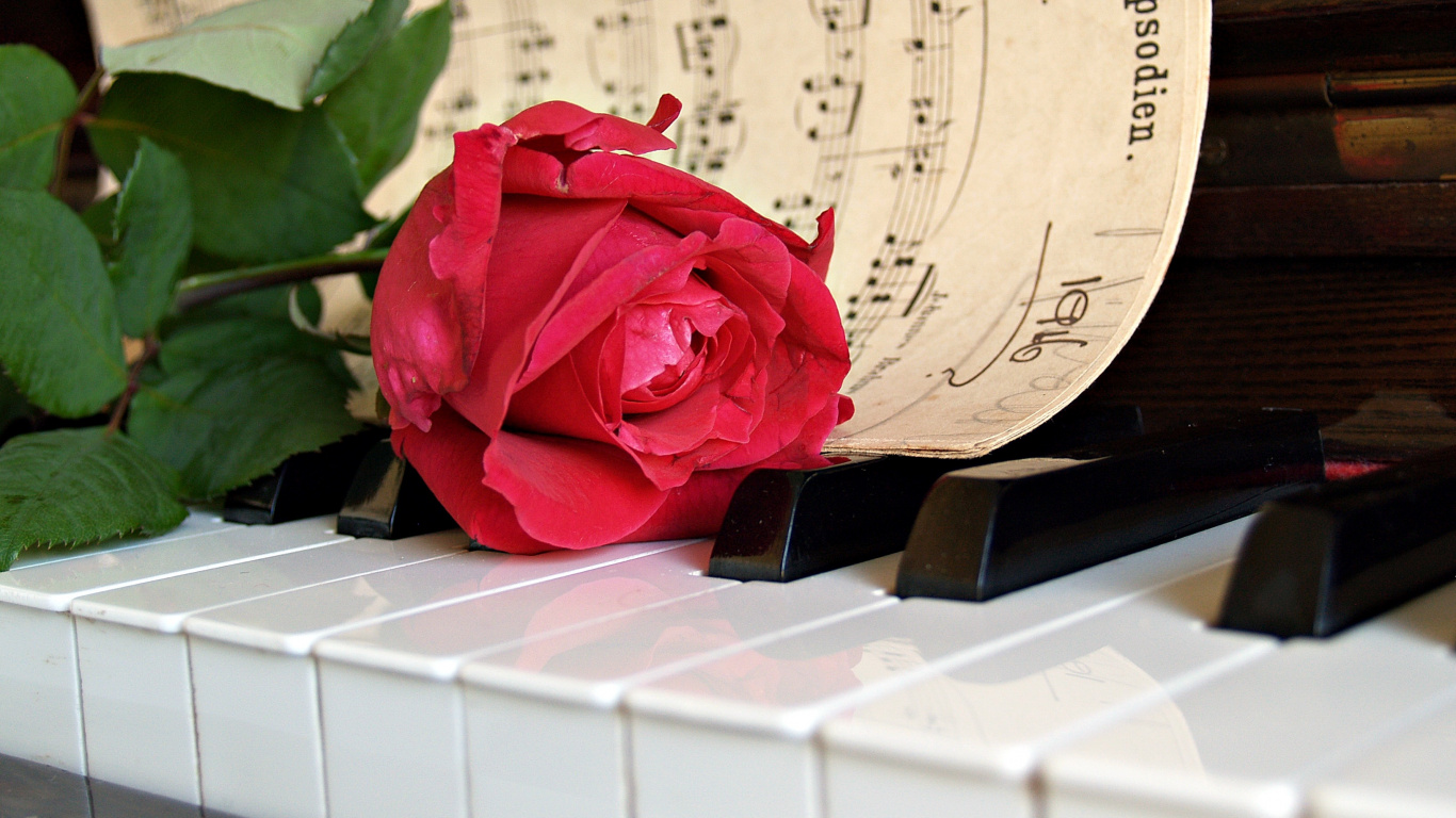 Piano, Sheet Music, Key, Pianist, Musical Keyboard. Wallpaper in 1366x768 Resolution