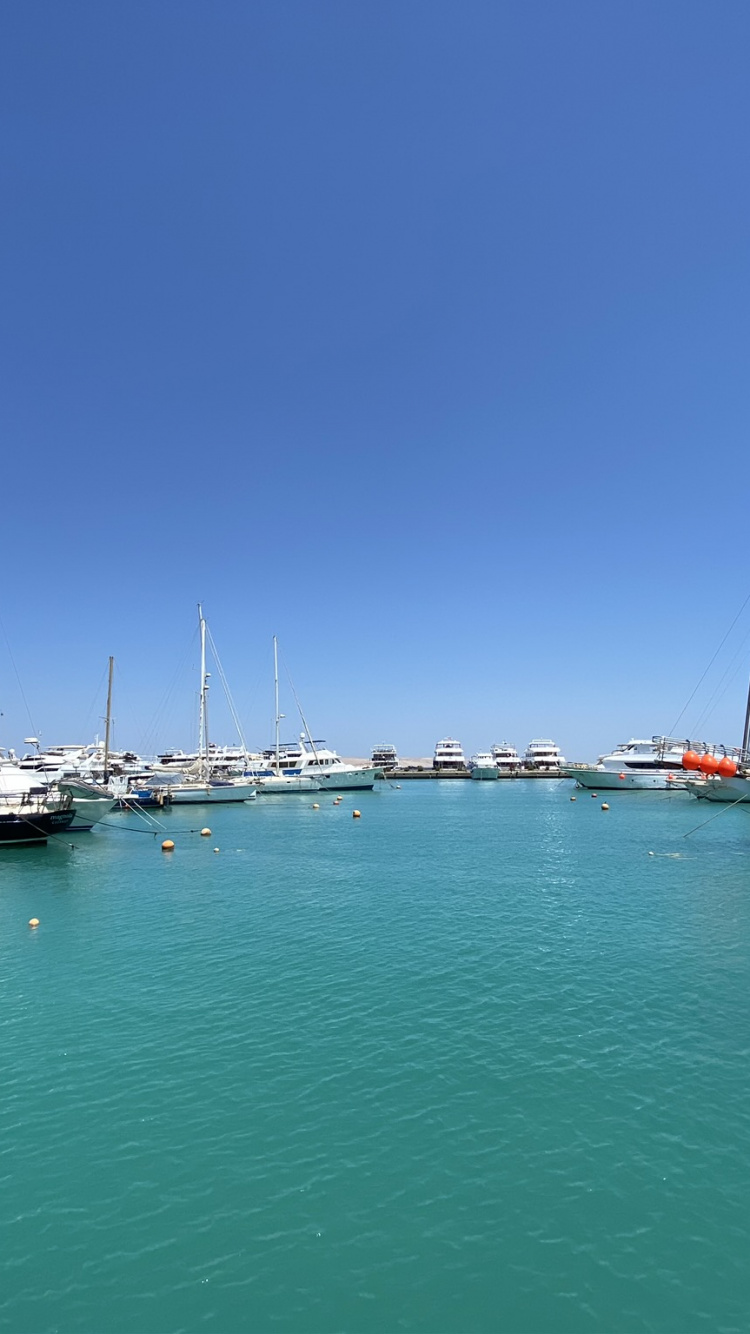 Marina, Wasserfahrzeug, Boot, Mast, Wasserstraße. Wallpaper in 750x1334 Resolution