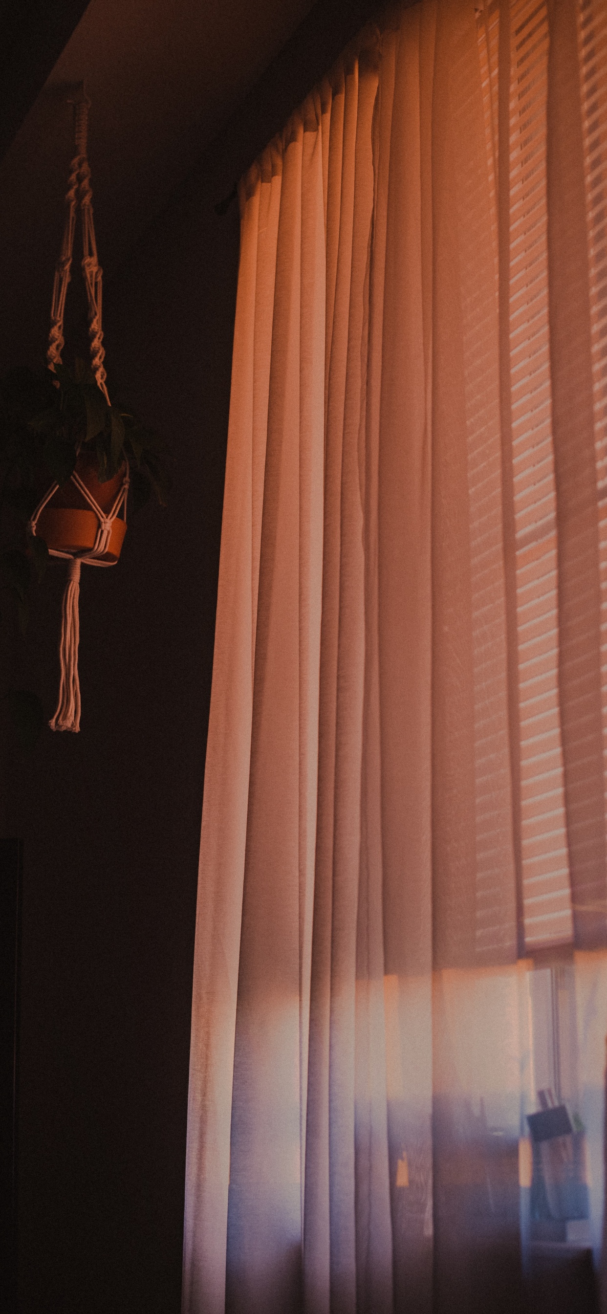 White Window Curtain Near White Window Curtain. Wallpaper in 1242x2688 Resolution