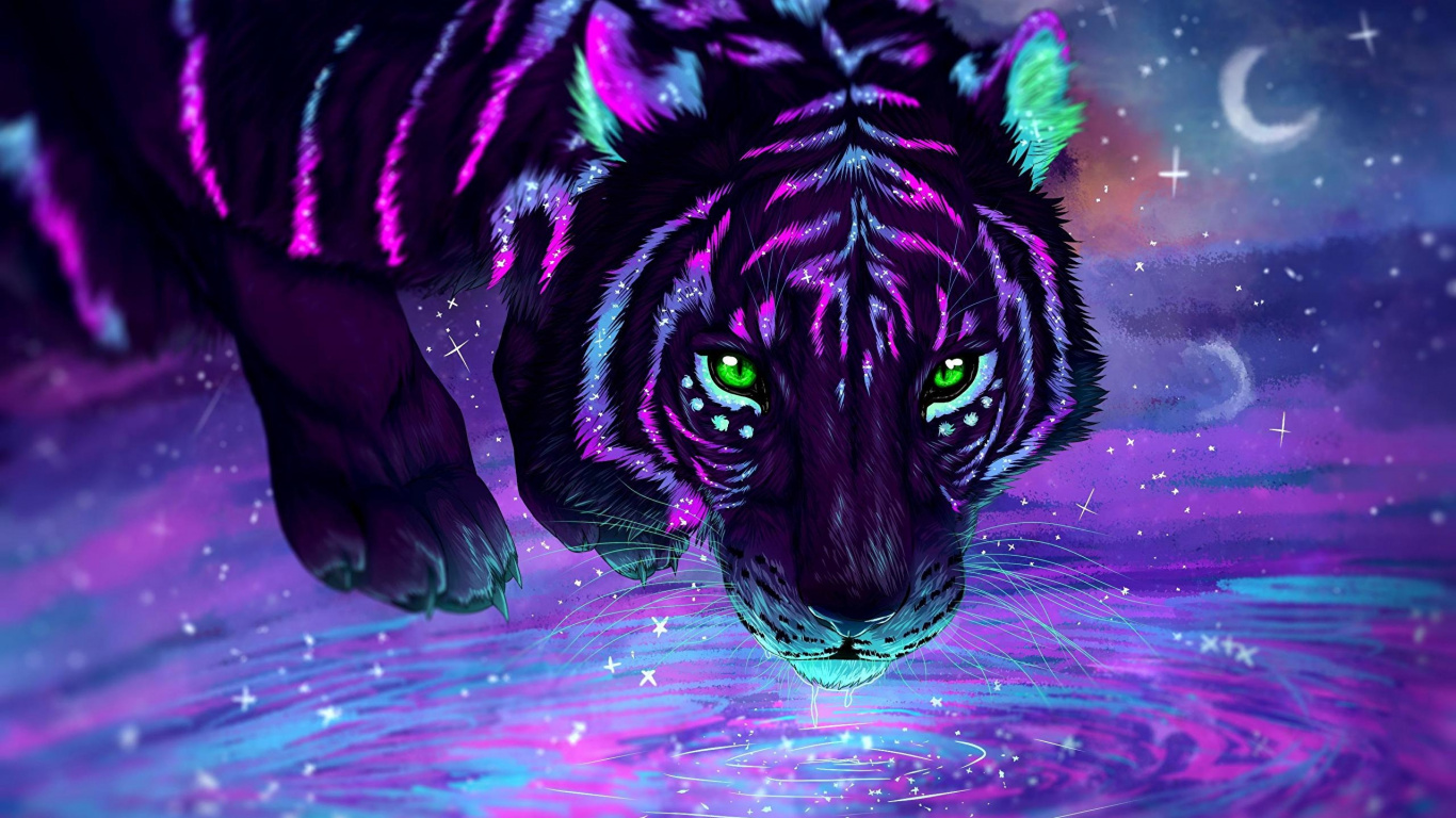 Schwarze Tiger, White Tiger, Leopard, Black Tiger, Felidae. Wallpaper in 1366x768 Resolution