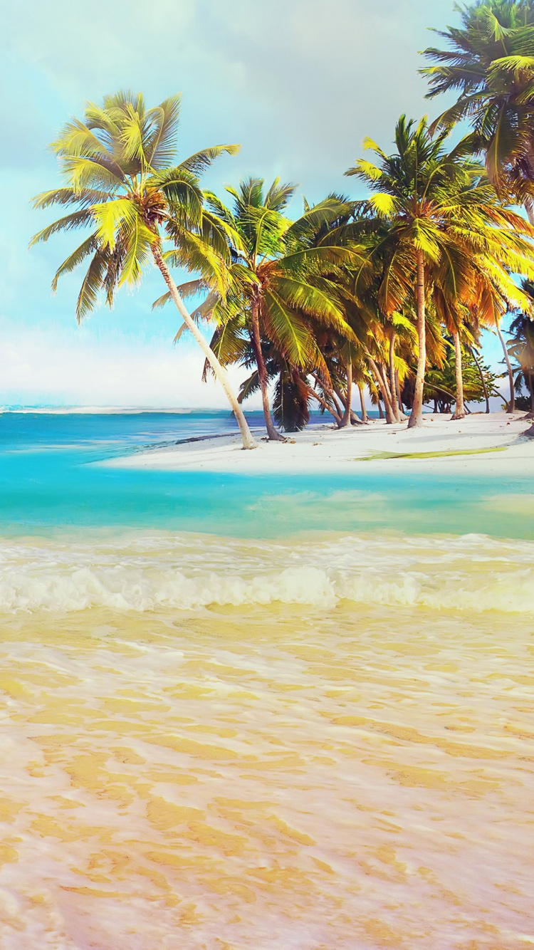 Tagsüber Grüne Palme am Strand. Wallpaper in 750x1334 Resolution