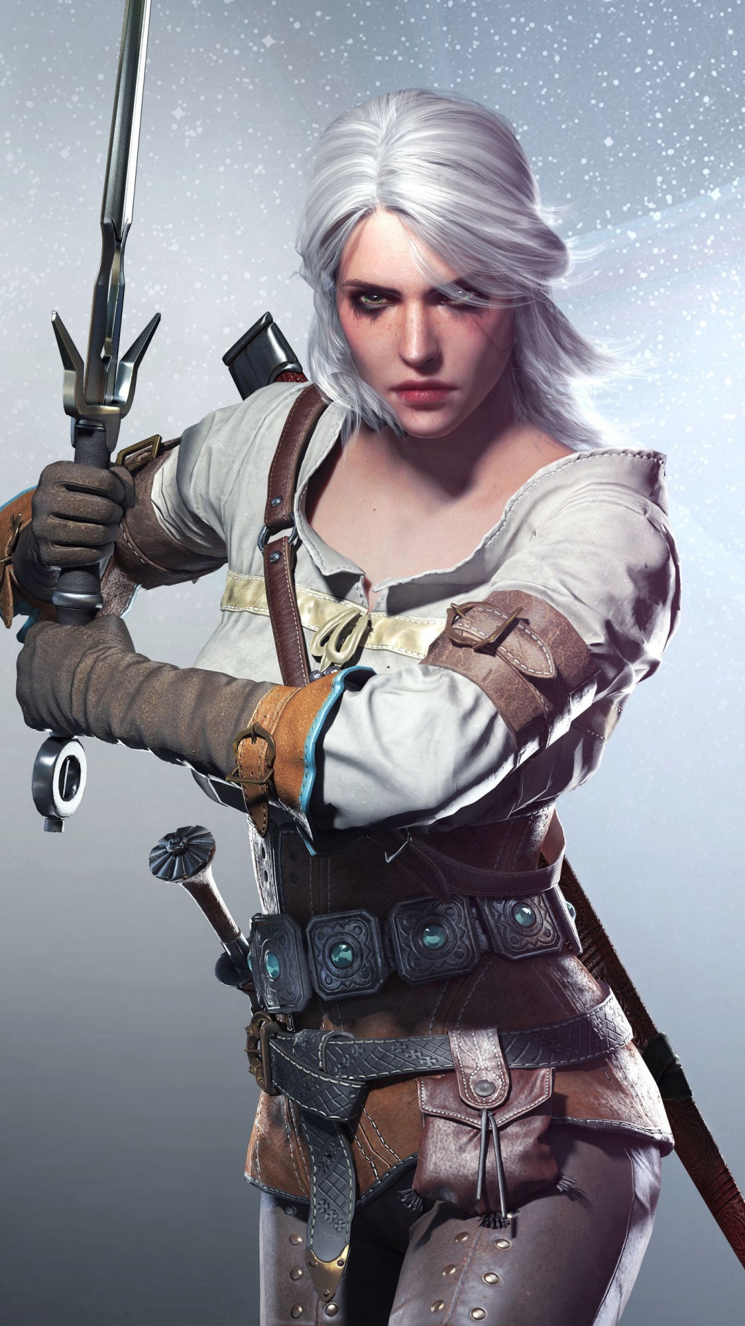 Ciri, The Witcher 3 Wild Hunt, Witcher, Figurine, Illustration. Wallpaper in 1080x1920 Resolution