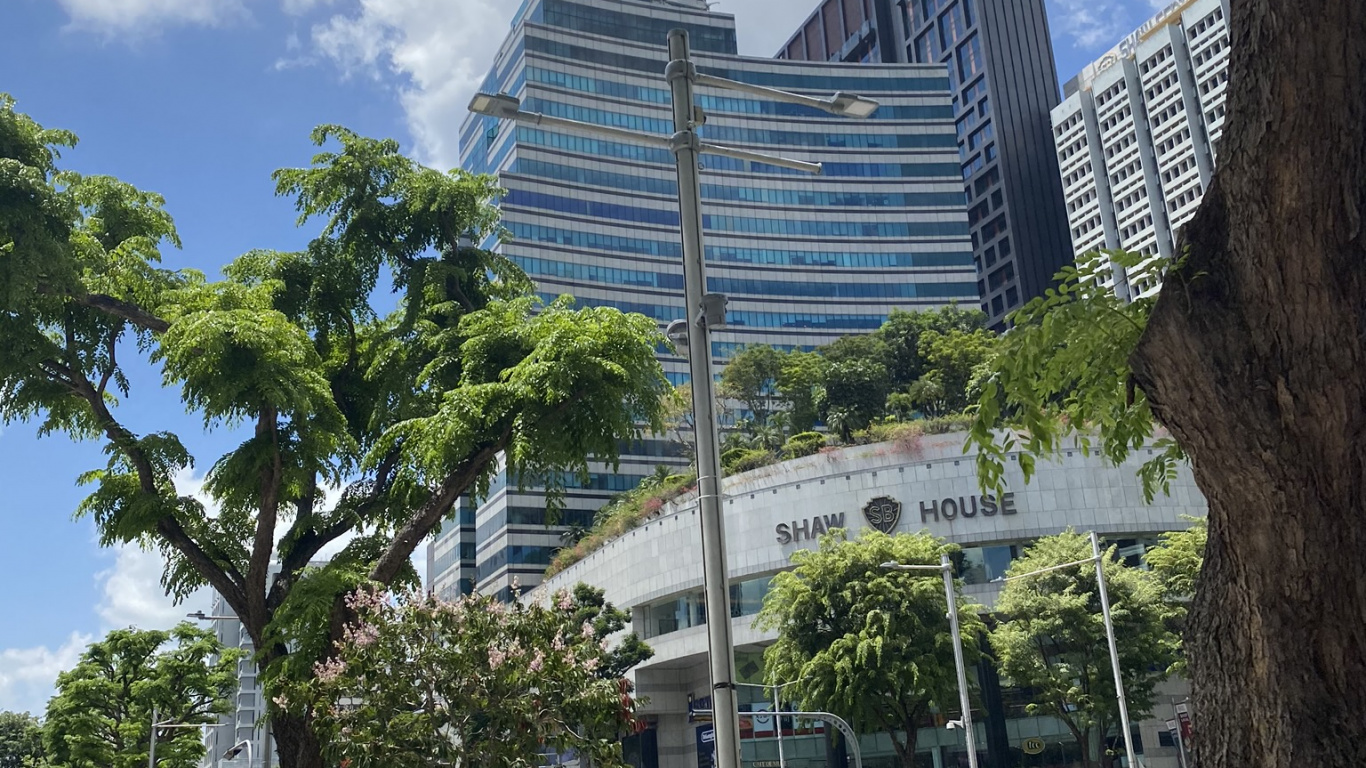 Condominium, Tree, Building, Woody Plant, Tower Block. Wallpaper in 1366x768 Resolution