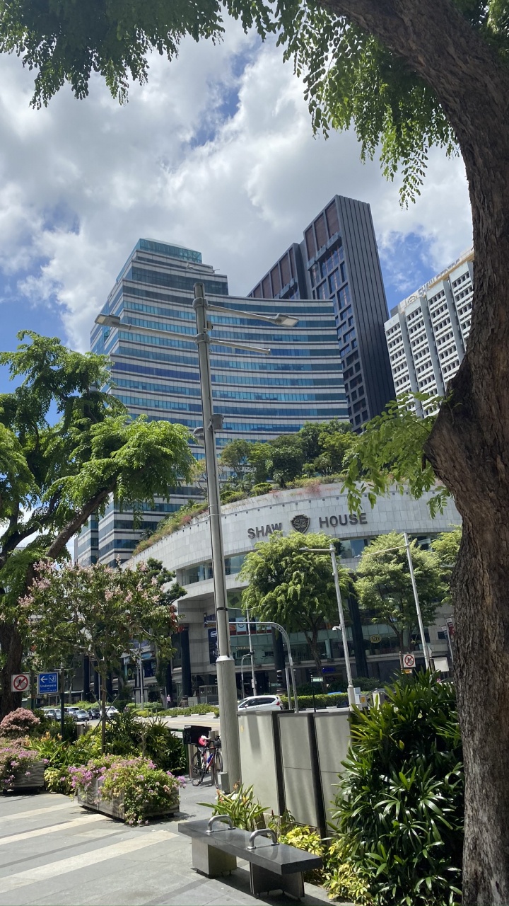 Condominium, Tree, Building, Woody Plant, Tower Block. Wallpaper in 720x1280 Resolution