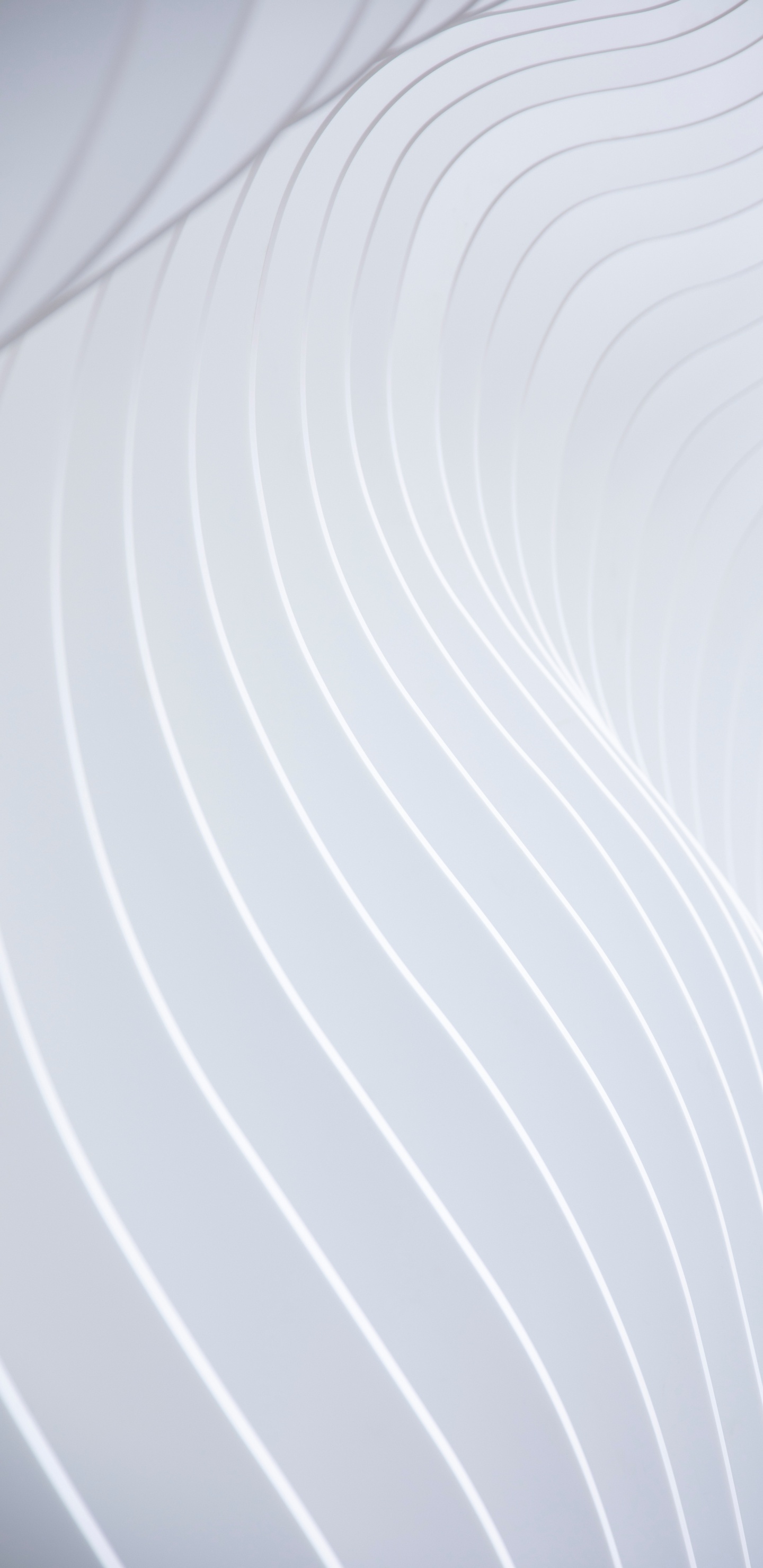 白色, 圆圈, 建筑 壁纸 1440x2960 允许