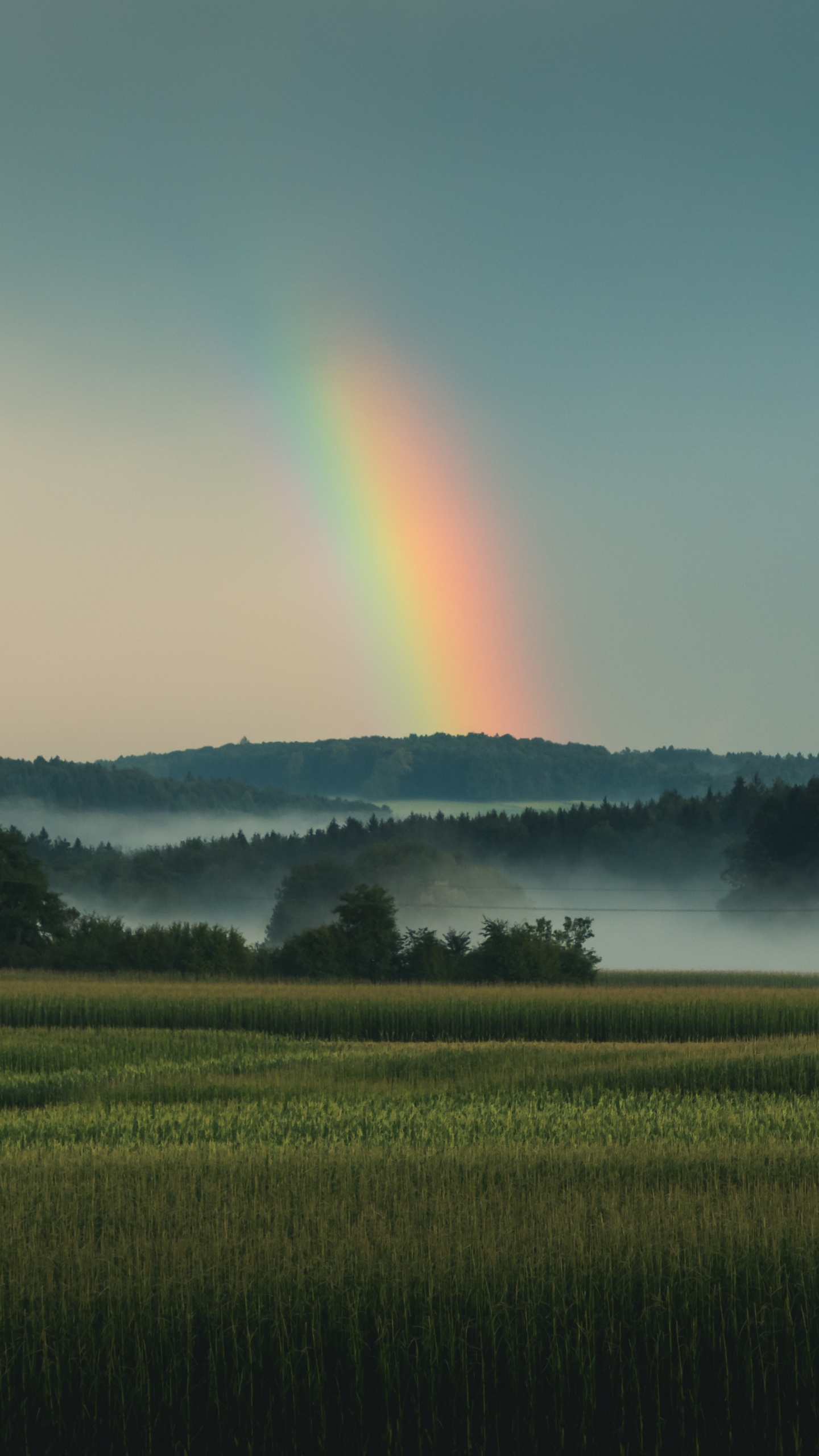 Regenbogen, Natur, Gr, Naturlandschaft, Cloud. Wallpaper in 1440x2560 Resolution