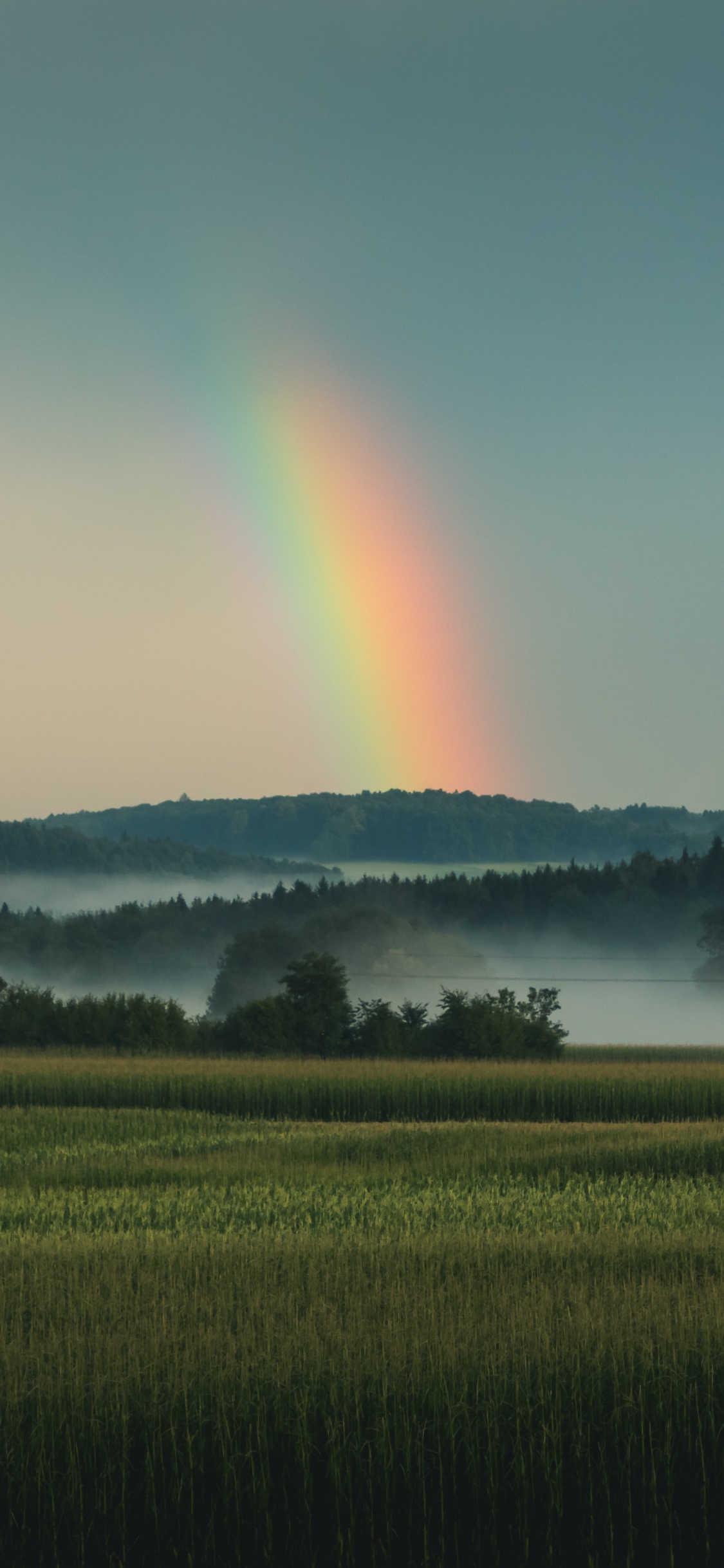 Rainbow, Nature, Green, Paysage Naturel, Champ. Wallpaper in 1125x2436 Resolution