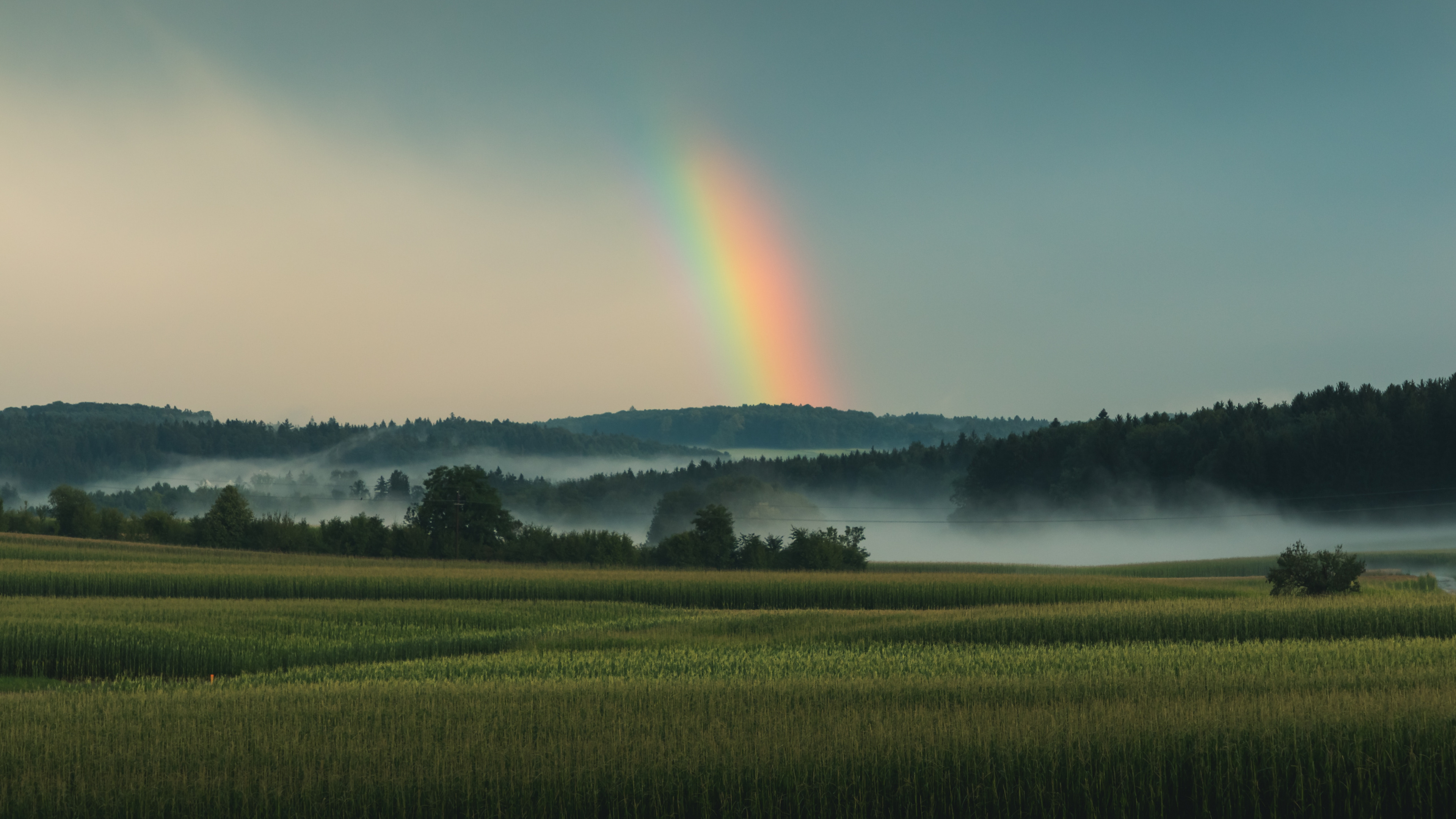 Rainbow, Nature, Green, Paysage Naturel, Champ. Wallpaper in 3840x2160 Resolution