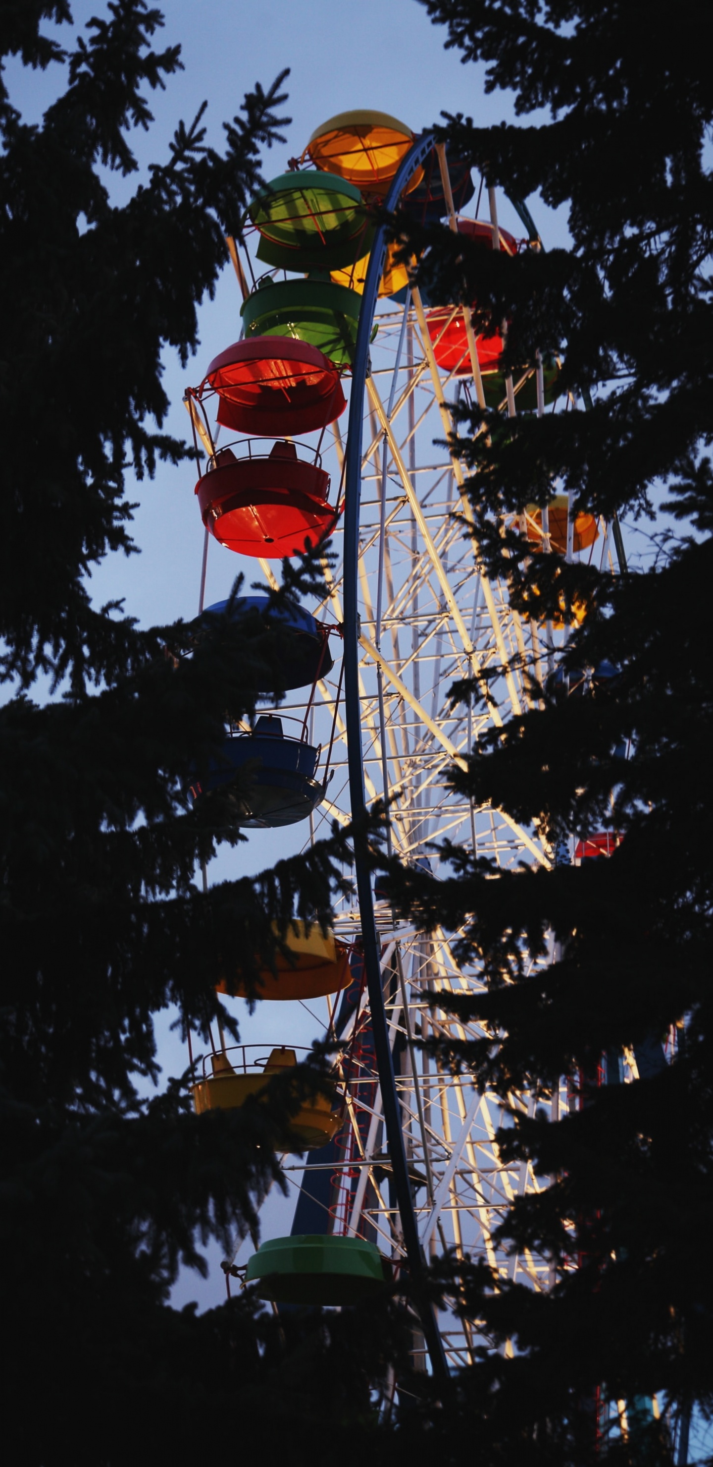 Pin Vert Avec Des Boules Rouges. Wallpaper in 1440x2960 Resolution