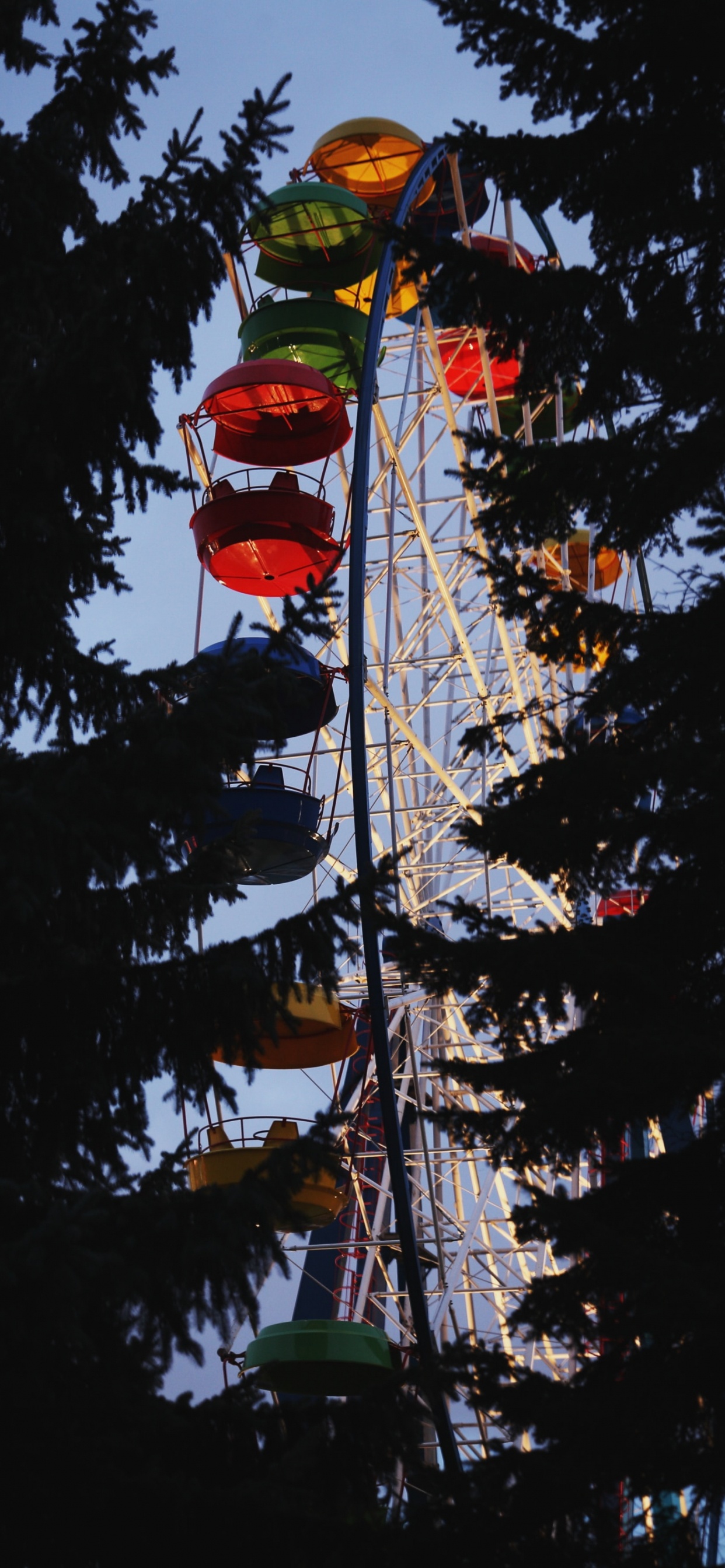 Grüne Kiefer Mit Roten Kugeln. Wallpaper in 1242x2688 Resolution