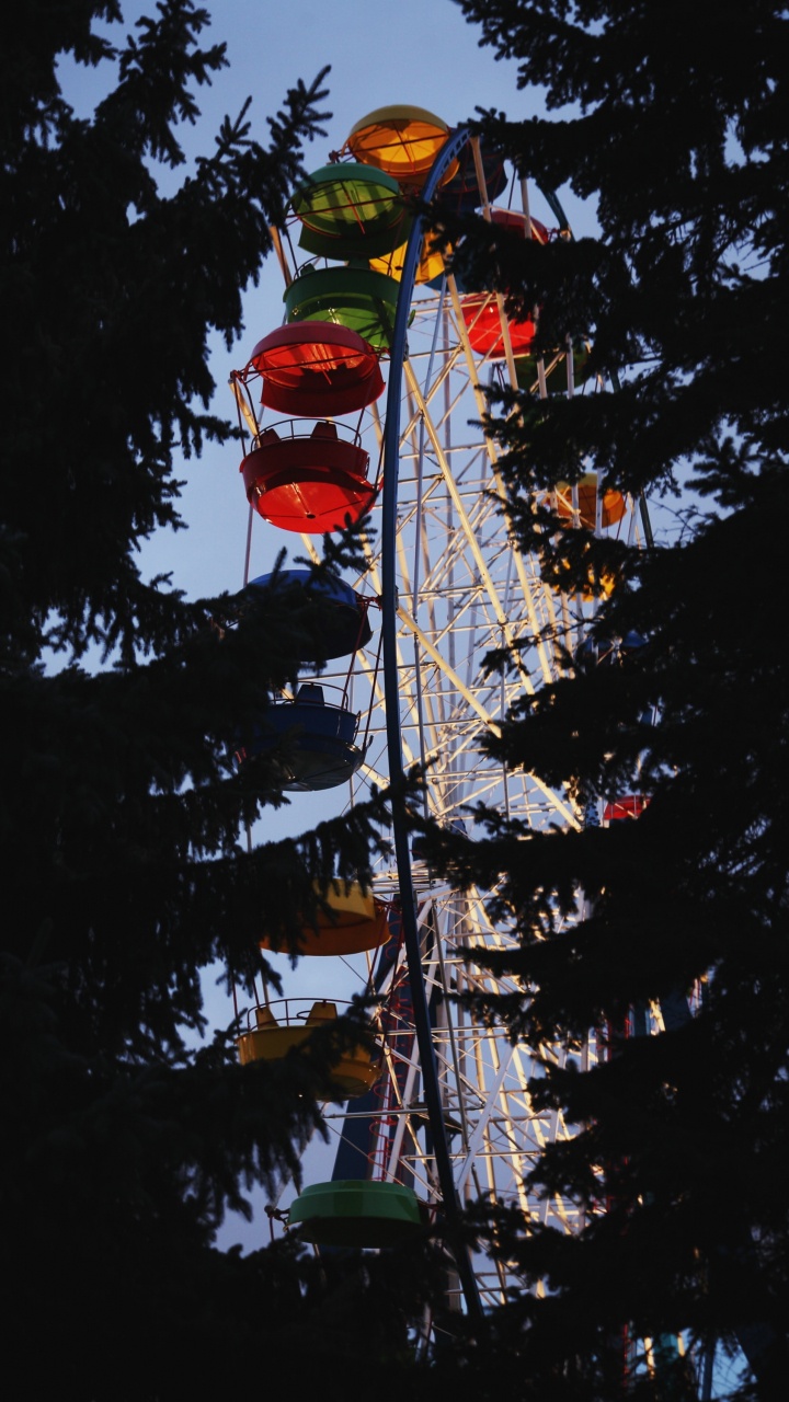 Grüne Kiefer Mit Roten Kugeln. Wallpaper in 720x1280 Resolution