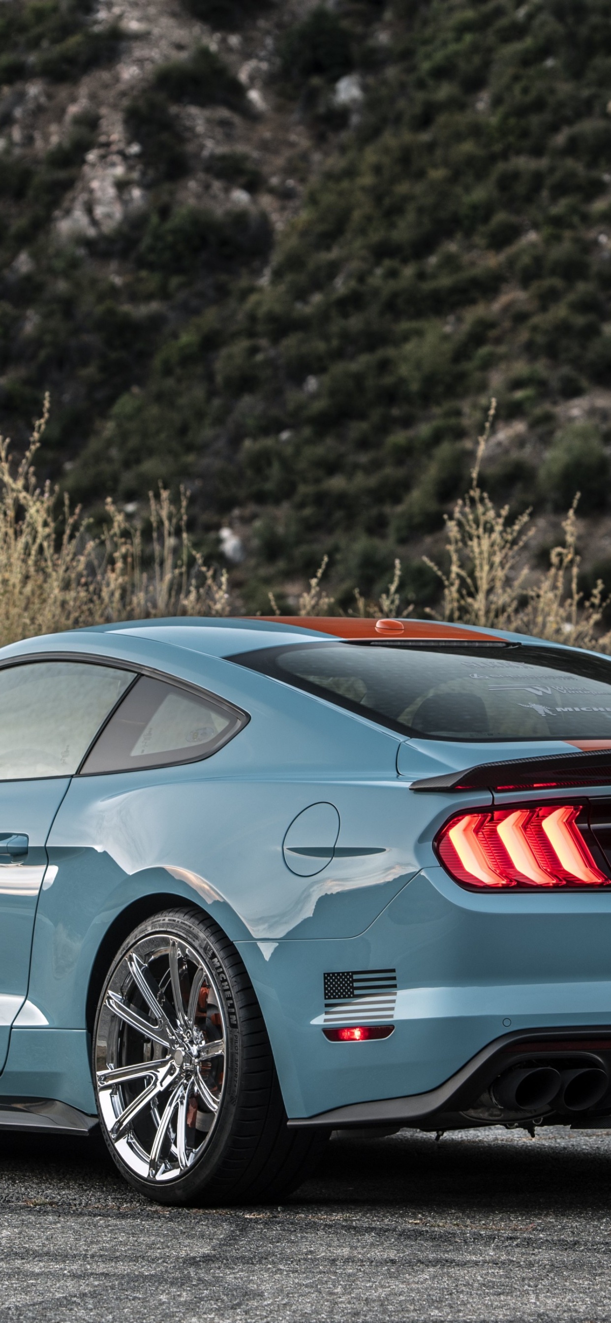 2019 Roush Mustang Spoiler, Shelby Mustang, Roush Leistung, Ford Mustang, Roush Mustang. Wallpaper in 1242x2688 Resolution