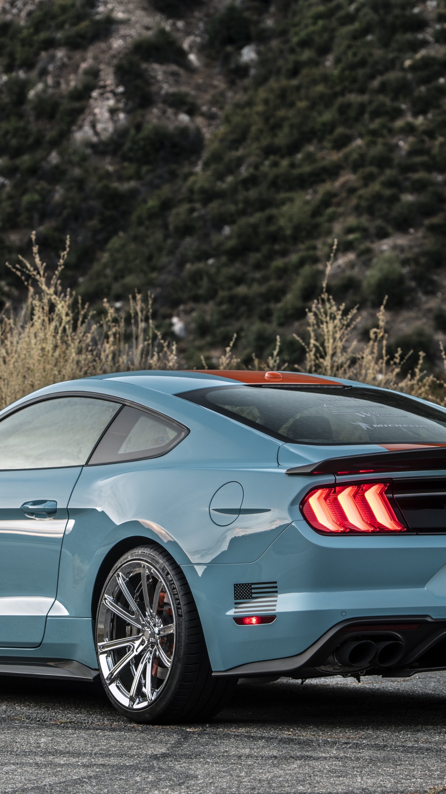 2019 Roush Mustang Spoiler, Shelby Mustang, Roush Leistung, Ford Mustang, Roush Mustang. Wallpaper in 1440x2560 Resolution