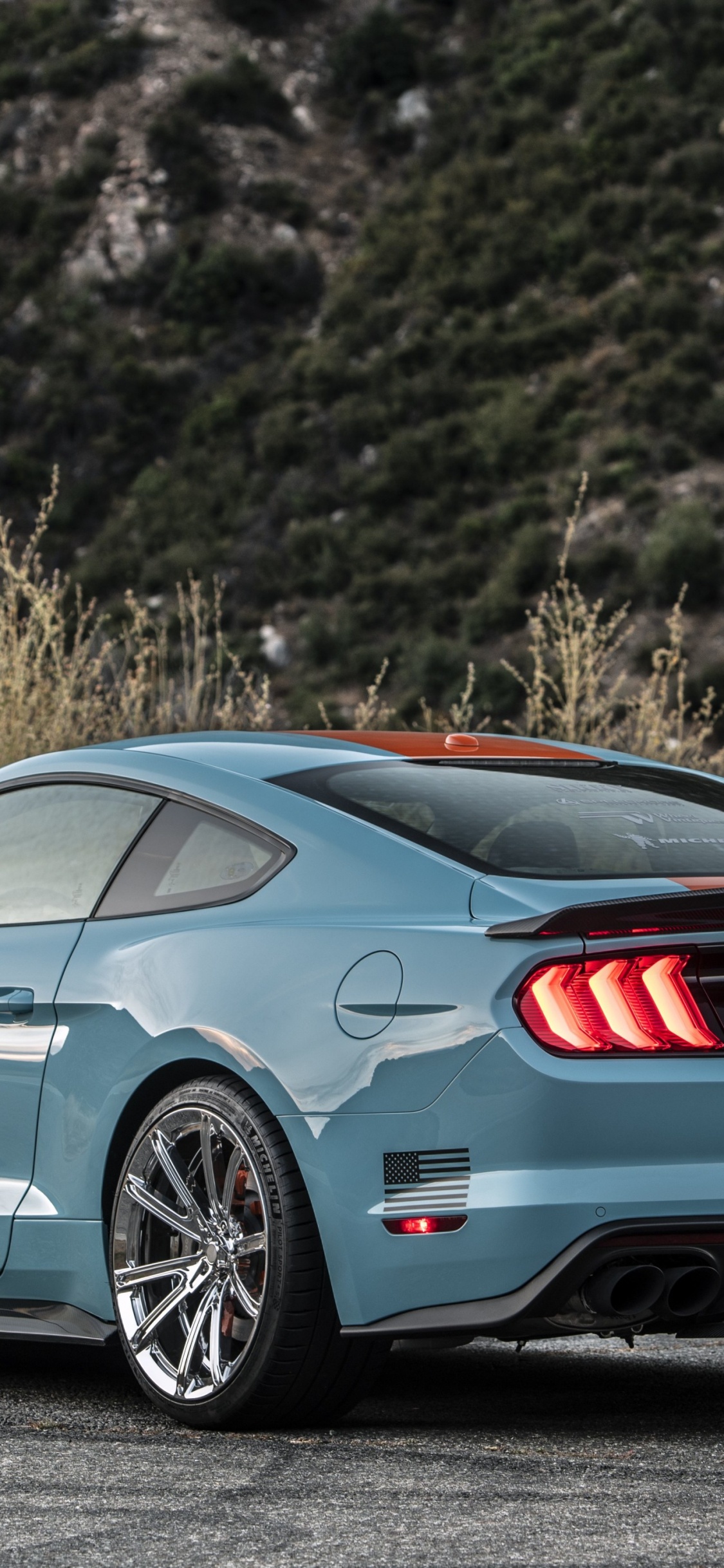 Spoiler Roush Mustang 2019, Shelby Mustang, Performance Impulsive, Ford Mustang, Roush Mustang. Wallpaper in 1125x2436 Resolution