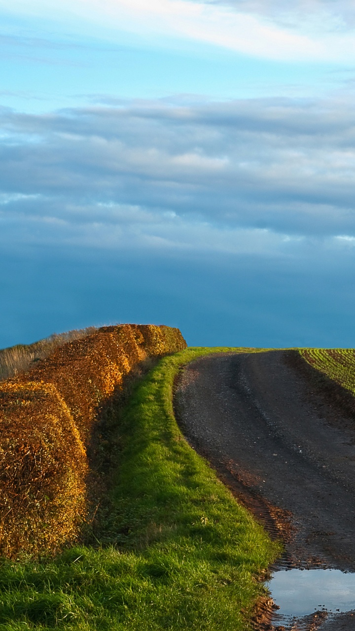 Champ D'herbe Verte Avec Des Arbres Sous Ciel Bleu Pendant la Journée. Wallpaper in 720x1280 Resolution