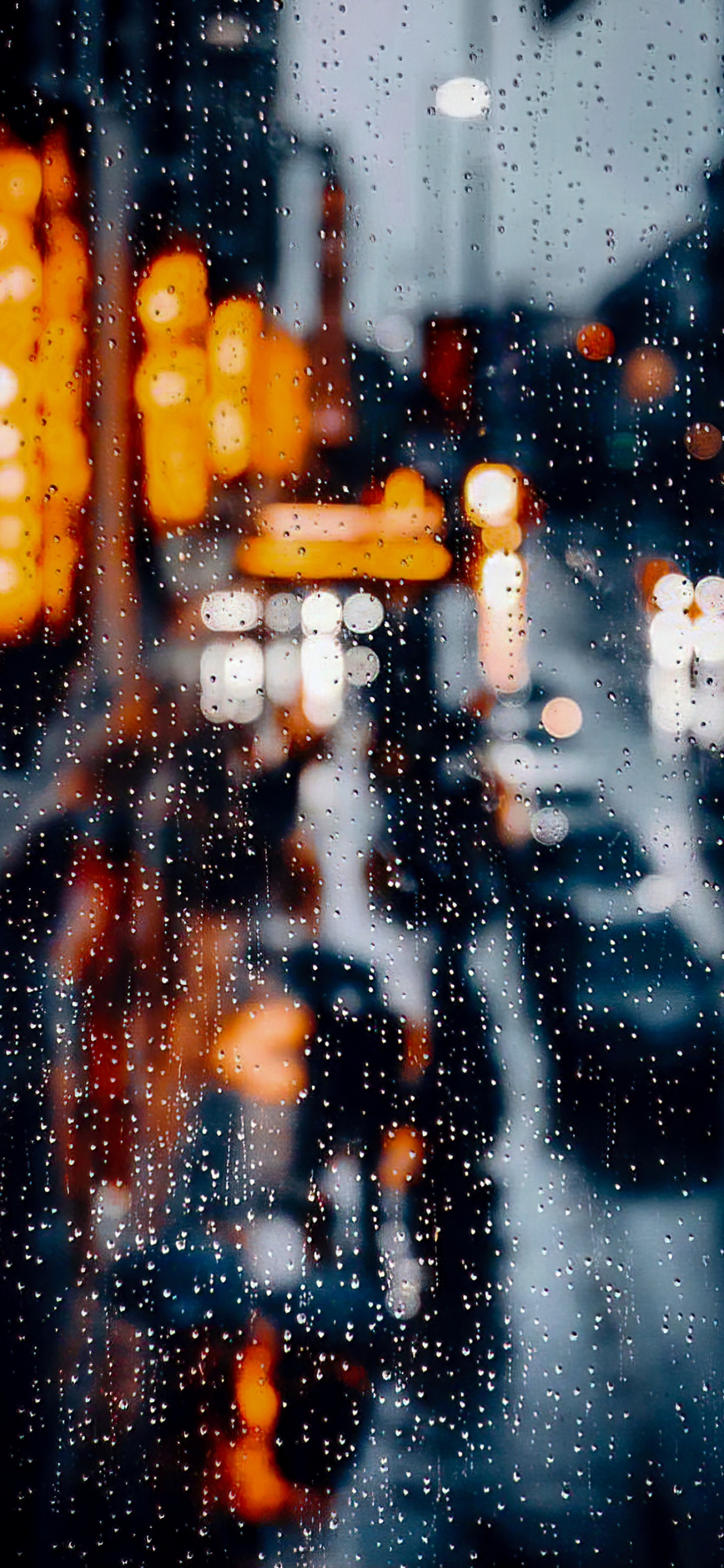 Reflexion, Wasser, Atmosphäre, Fenster, Branch. Wallpaper in 1242x2688 Resolution