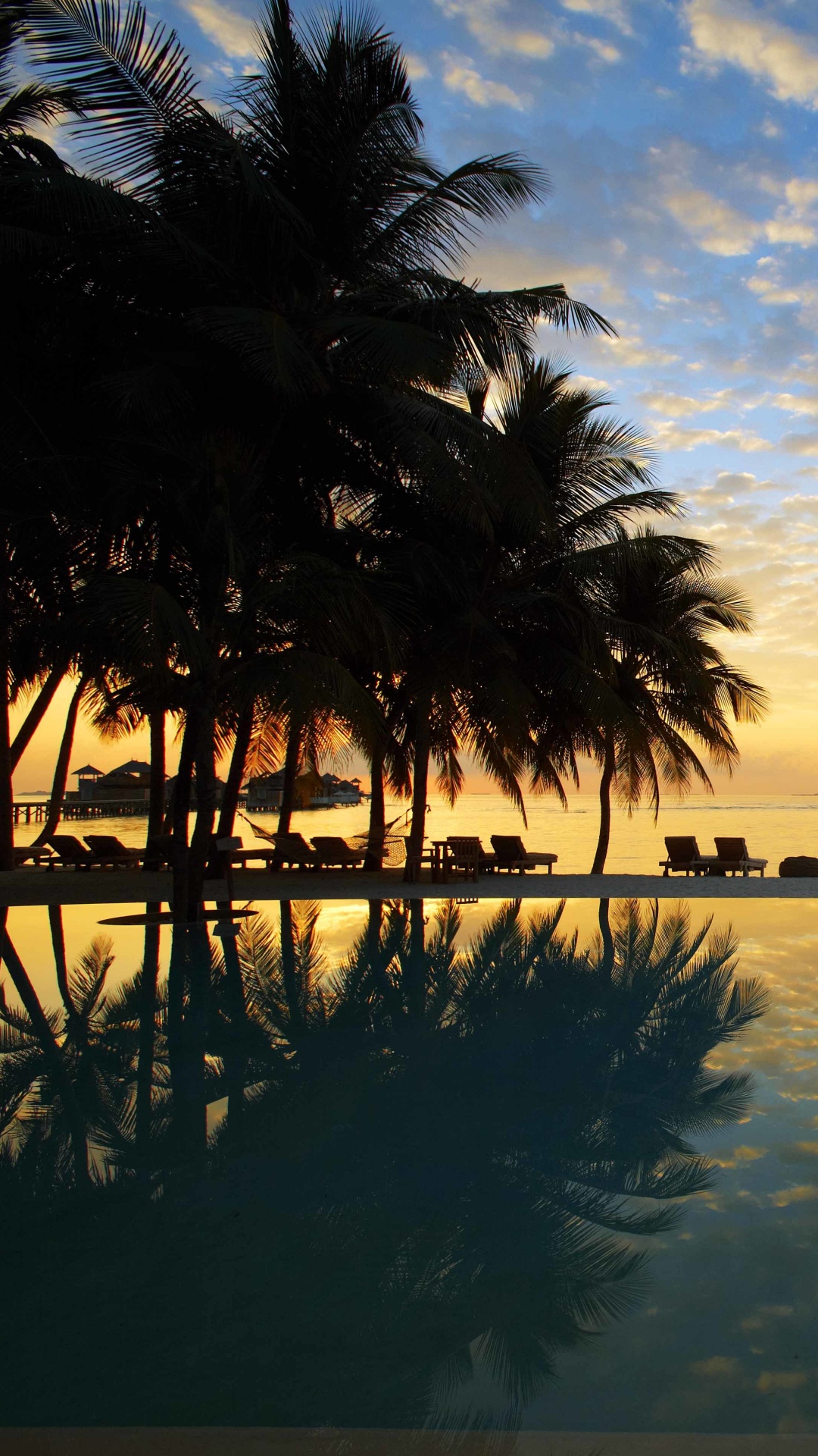 Palm Trees Near Body of Water During Daytime. Wallpaper in 1080x1920 Resolution