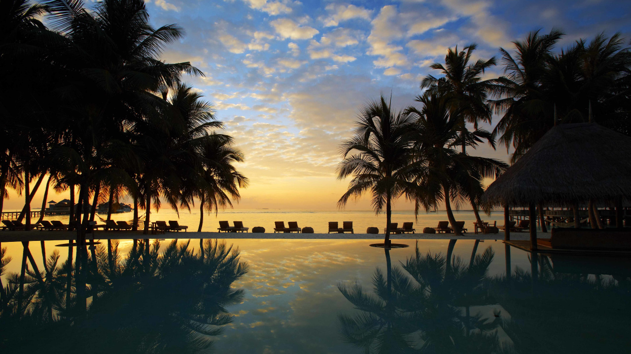 Palm Trees Near Body of Water During Daytime. Wallpaper in 1280x720 Resolution