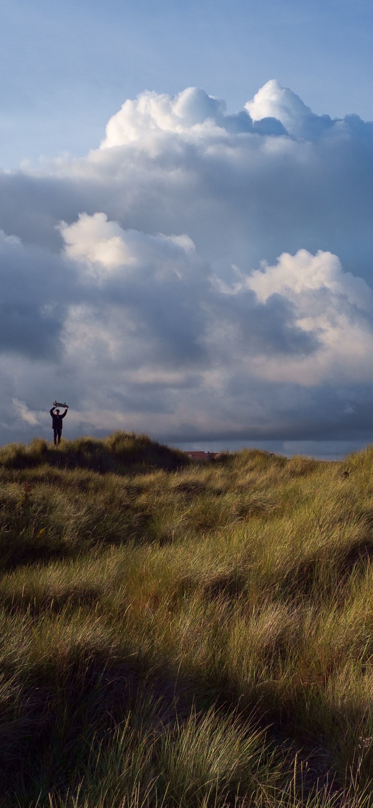 Plain, Dusk, Hill, Steppe, Grassland. Wallpaper in 1242x2688 Resolution