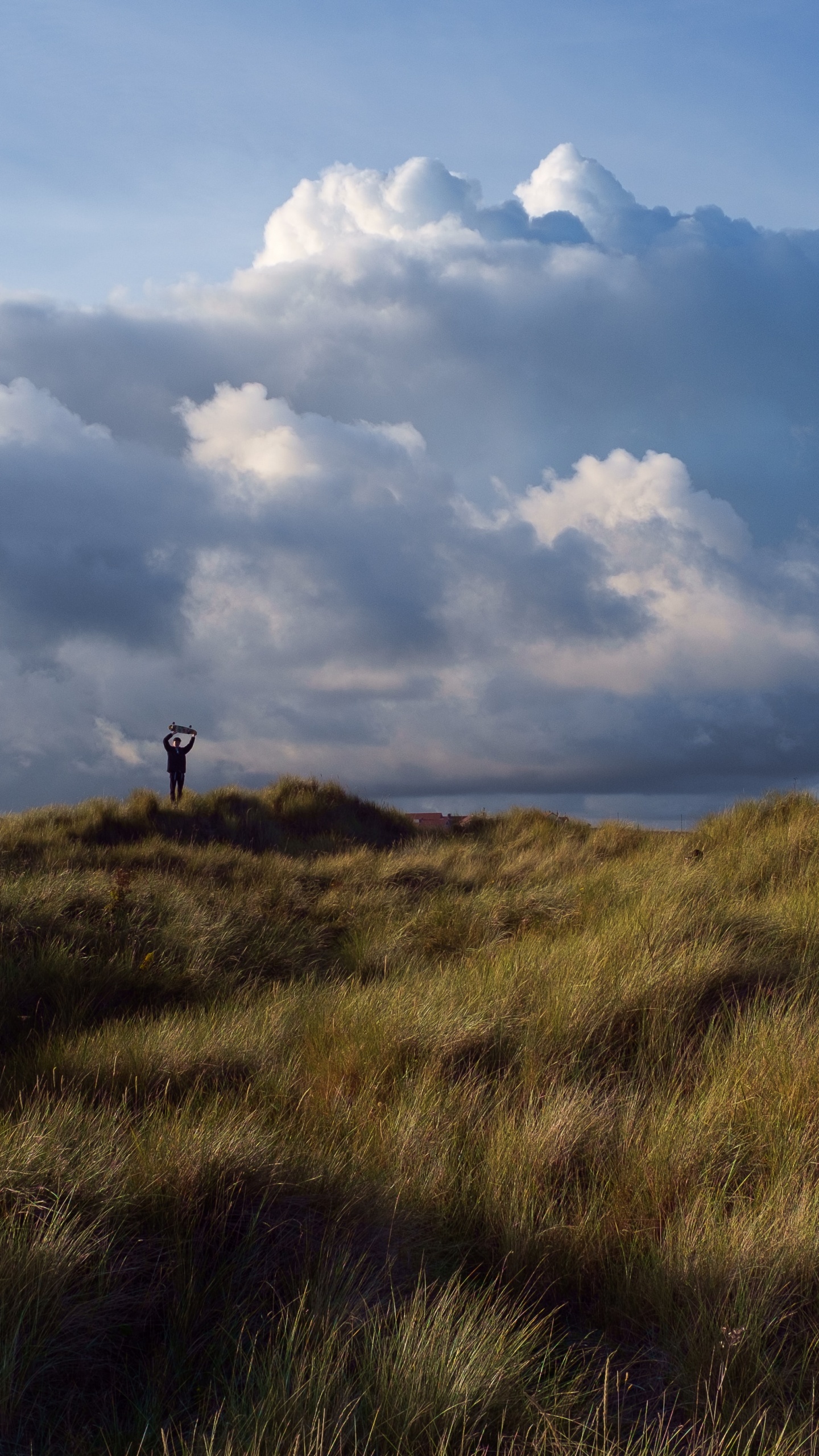 Plain, Dusk, Hill, Steppe, Grassland. Wallpaper in 1440x2560 Resolution