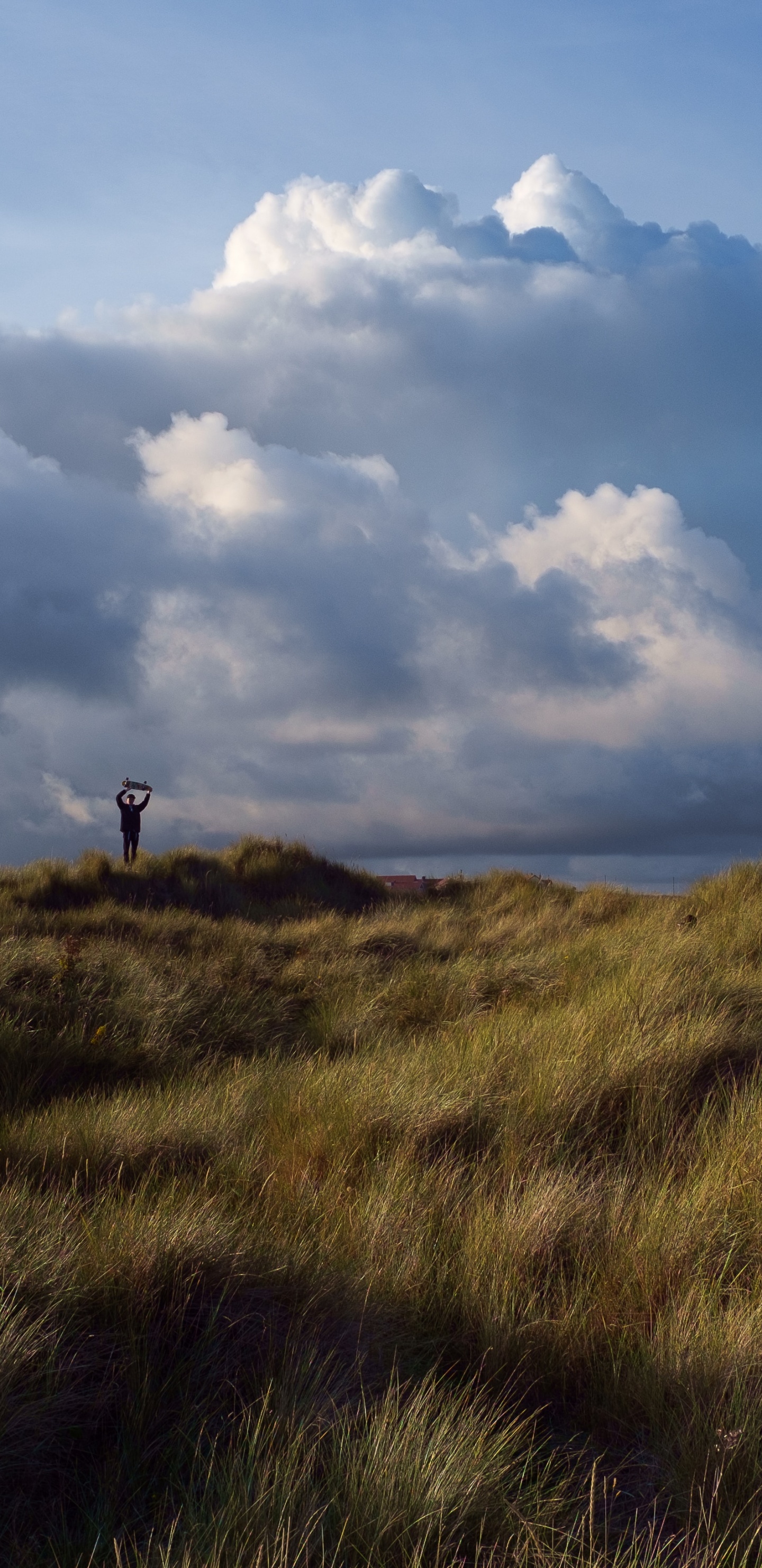 Plaine, Colline, Steppe, Prairie, L'écorégion. Wallpaper in 1440x2960 Resolution