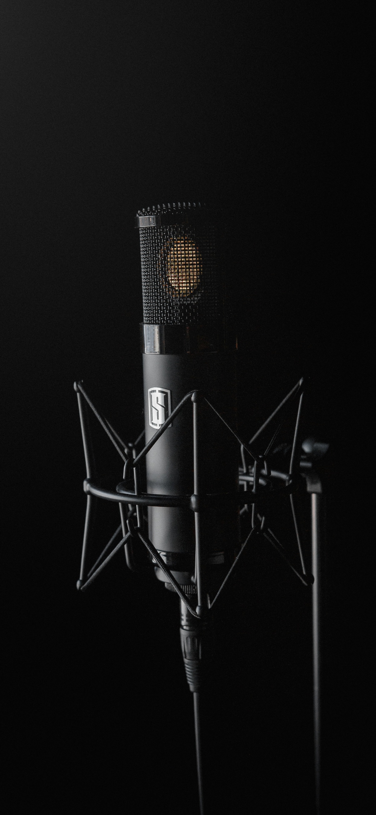 Audio Equipment, Microphone, Technology, Recording Studio, Microphone Stand. Wallpaper in 1242x2688 Resolution