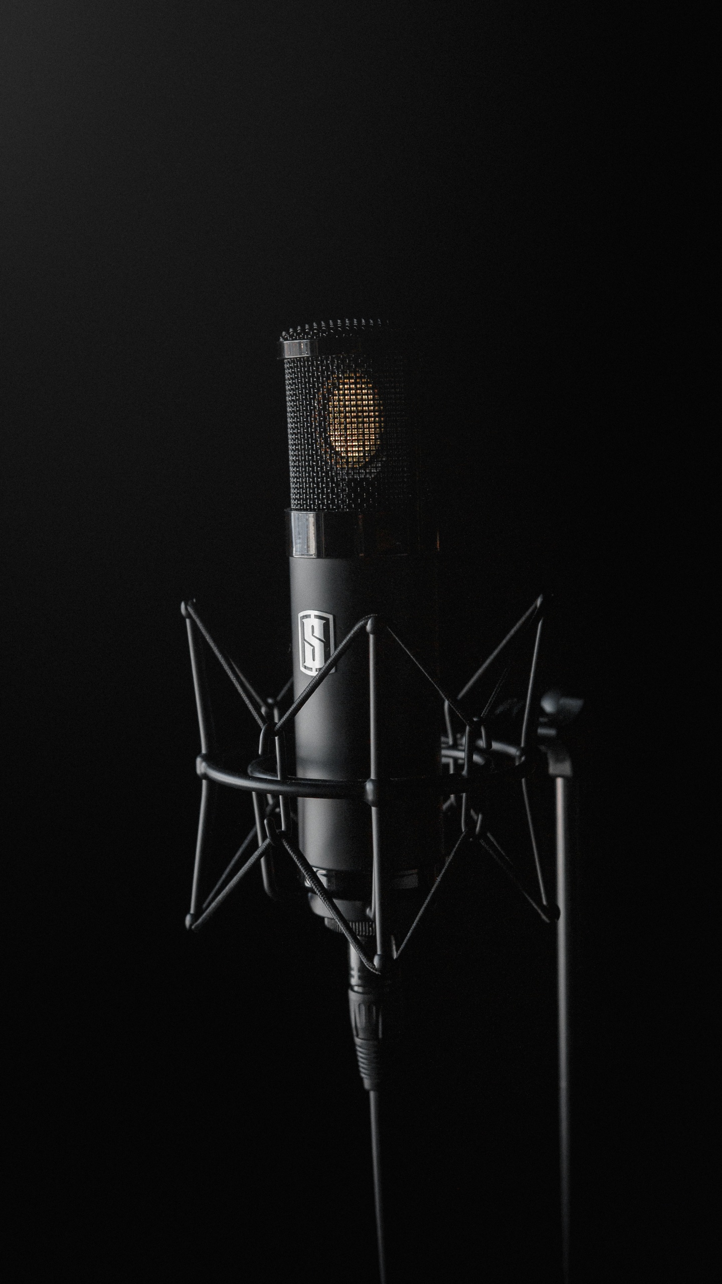 Audio Equipment, Microphone, Technology, Recording Studio, Microphone Stand. Wallpaper in 1440x2560 Resolution