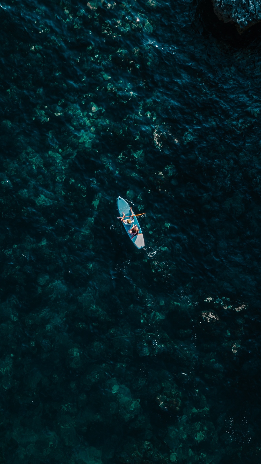 Eau, Biologie Marine, Sciences, Motomarine, Bateau. Wallpaper in 1080x1920 Resolution